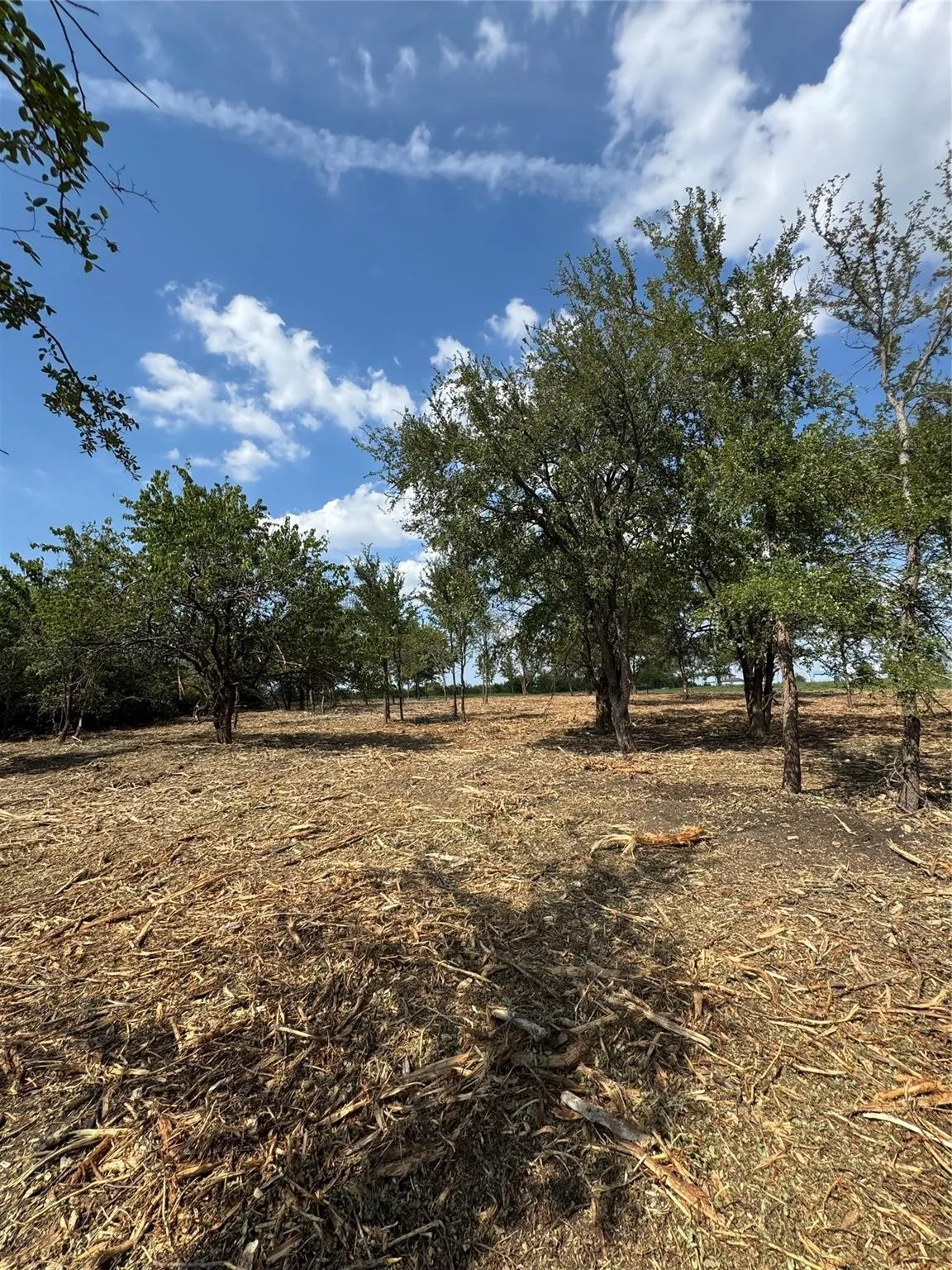 Improved Land For Sale in Denton County , 947 Lilac Lane, Frisco, Texas 75034, 0, 0, Garage spaces, 0 Sqft, built in 0, Price $2,999,000, mls#21321899, Real Estate Agent in Frisco, Homes For Sale in Denton county, Homes For Sale in Frisco, Realtor in Frisco Texas, Real Estate Brokerage Independent Realty Texas, Luminita Cordes Realtor