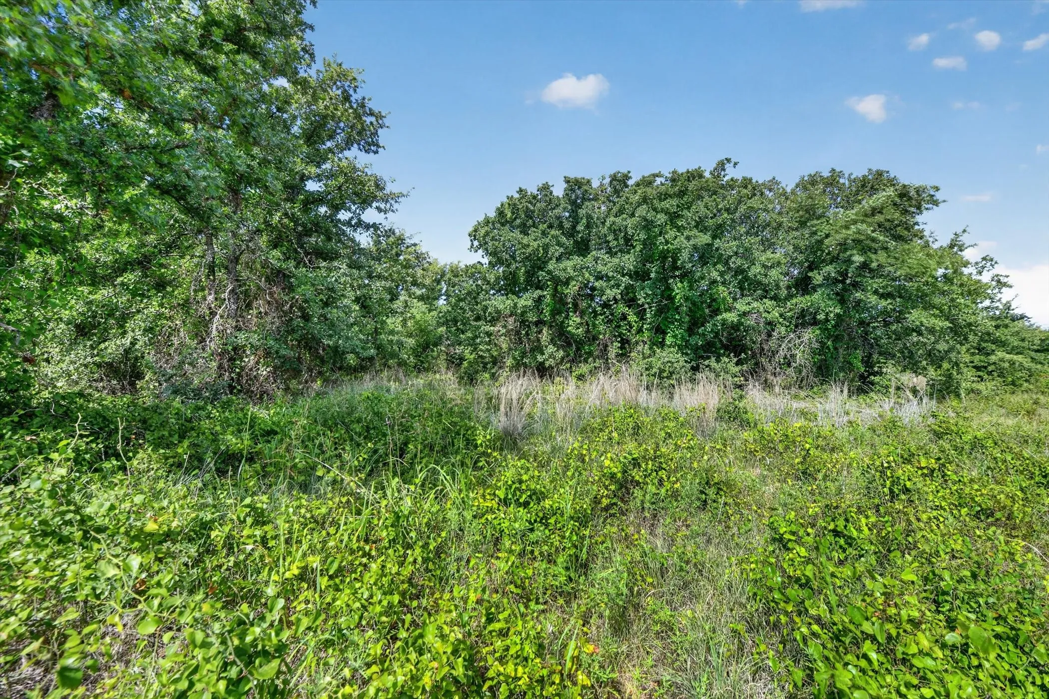 Unimproved Land For Sale in Palo Pinto County , TBD Blissful Court, Perrin, Texas 76487, 0, 0, Garage spaces, 0 Sqft, built in 0, mls#21321913, Real Estate Agent in Perrin, Homes For Sale in Palo Pinto county, Homes For Sale in Perrin, Realtor in Perrin Texas, Real Estate Brokerage Independent Realty Texas, Luminita Cordes Realtor
