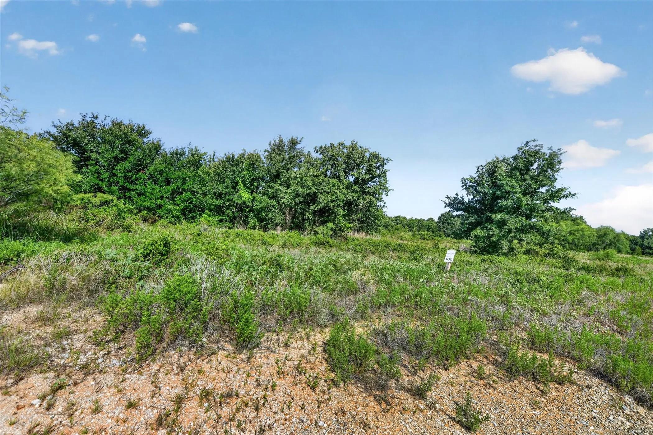 Unimproved Land For Sale in Palo Pinto County , TBD Blissful Court, Perrin, Texas 76487, 0, 0, Garage spaces, 0 Sqft, built in 0, mls#21321913, Real Estate Agent in Perrin, Homes For Sale in Palo Pinto county, Homes For Sale in Perrin, Realtor in Perrin Texas, Real Estate Brokerage Independent Realty Texas, Luminita Cordes Realtor