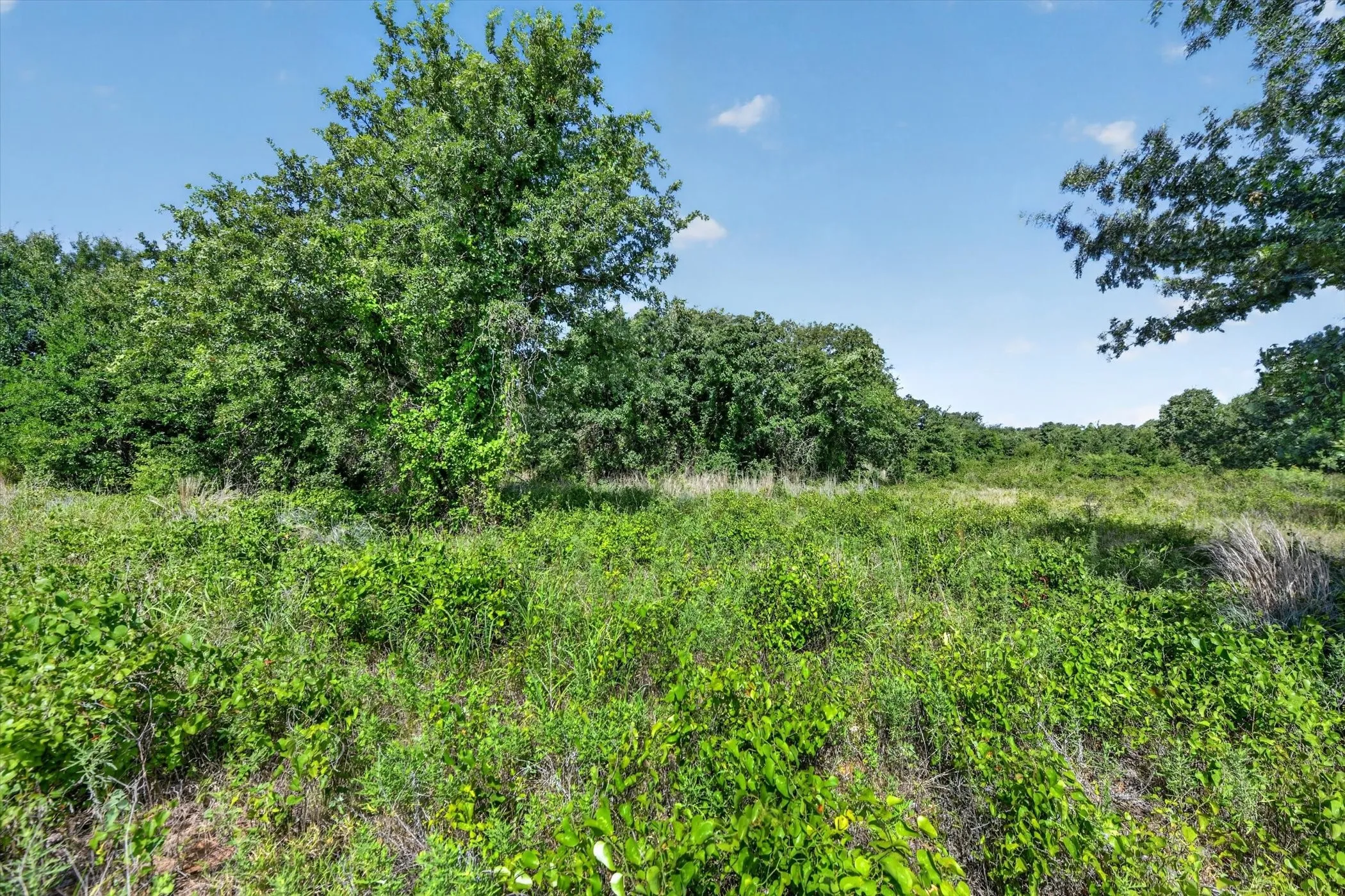 Unimproved Land For Sale in Palo Pinto County , TBD Blissful Court, Perrin, Texas 76487, 0, 0, Garage spaces, 0 Sqft, built in 0, mls#21321913, Real Estate Agent in Perrin, Homes For Sale in Palo Pinto county, Homes For Sale in Perrin, Realtor in Perrin Texas, Real Estate Brokerage Independent Realty Texas, Luminita Cordes Realtor