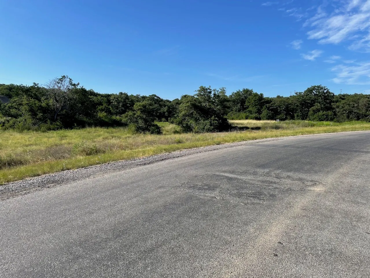Expansive undeveloped lot featuring a mix of mature trees and open grassy areas