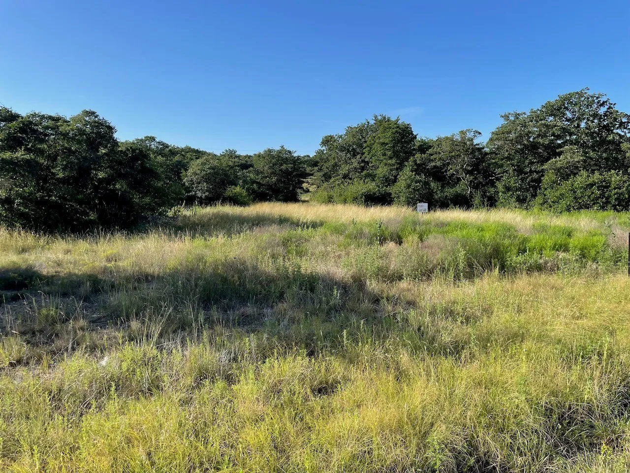 Expansive land parcel featuring mature perimeter trees and natural prairie grasses under a clear sky