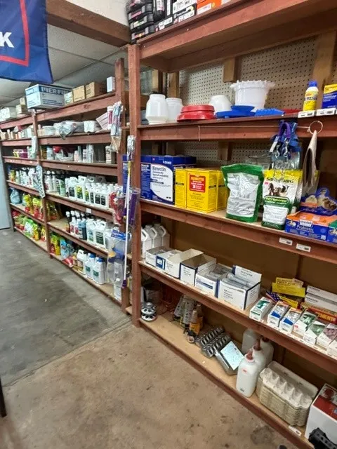 Business For Sale in Archer County , 311 E Main Street, Archer City, Texas 76351, 0, 0, Garage spaces, 0 Sqft, built in 1972, Price $615,000, mls#21322005, Real Estate Agent in Archer City, Homes For Sale in Archer county, Homes For Sale in Archer City, Realtor in Archer City Texas, Real Estate Brokerage Independent Realty Texas, Luminita Cordes Realtor