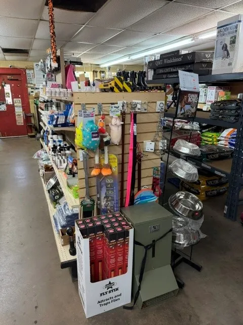 Business For Sale in Archer County , 311 E Main Street, Archer City, Texas 76351, 0, 0, Garage spaces, 0 Sqft, built in 1972, Price $615,000, mls#21322005, Real Estate Agent in Archer City, Homes For Sale in Archer county, Homes For Sale in Archer City, Realtor in Archer City Texas, Real Estate Brokerage Independent Realty Texas, Luminita Cordes Realtor