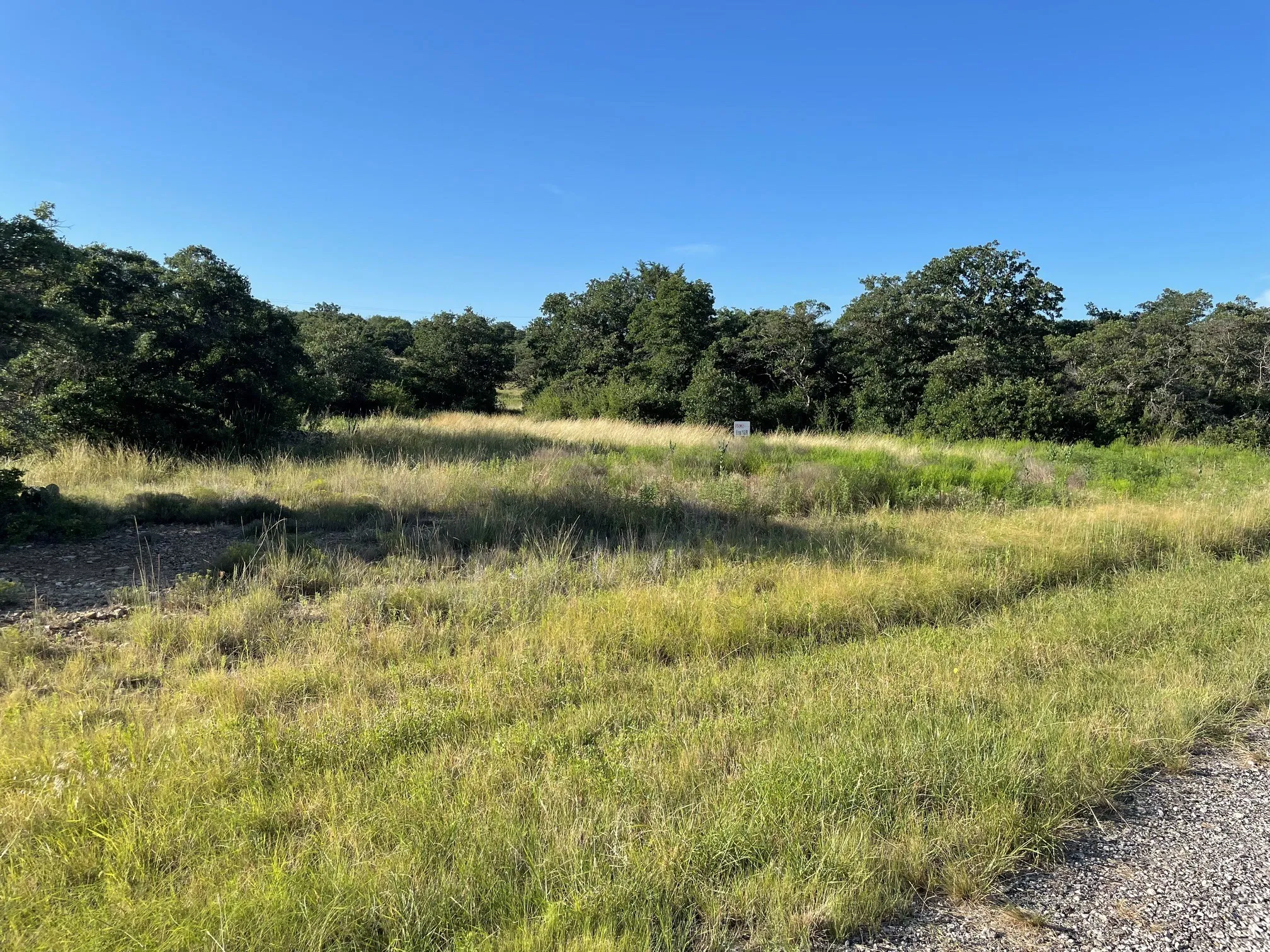 Expansive lot featuring mature trees and natural vegetation