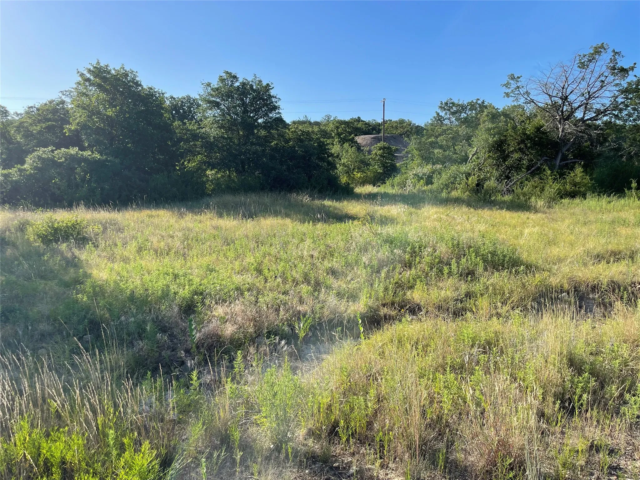 Expansive open land featuring natural grasses and various shrubs
