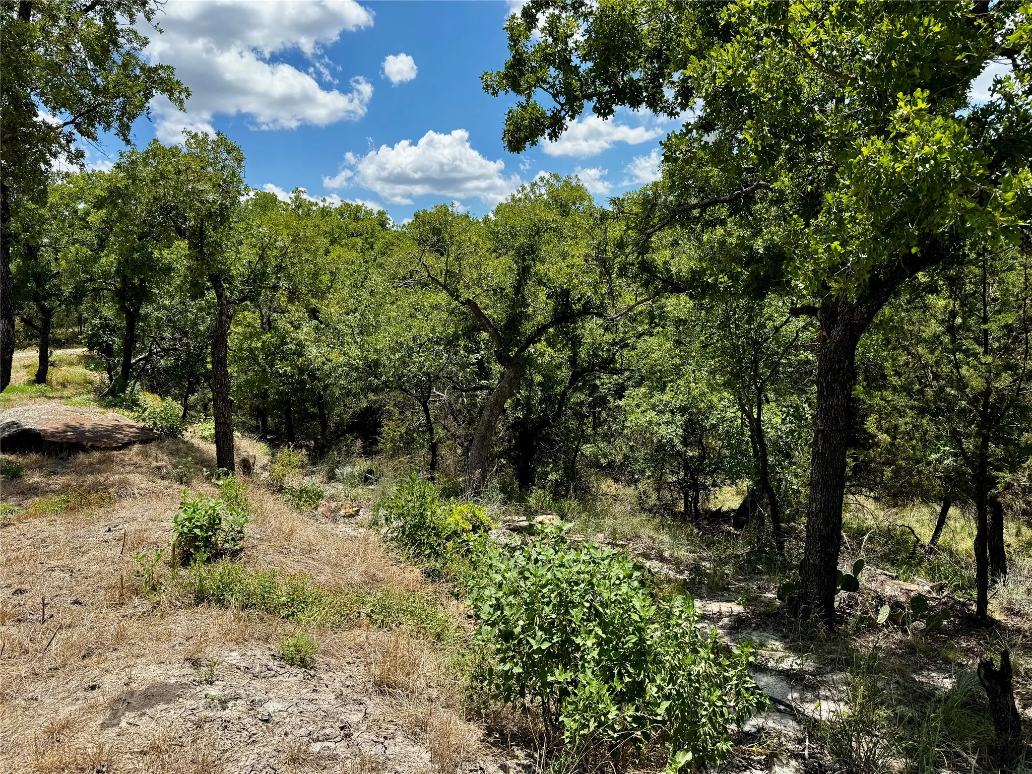 Unimproved Land For Sale in Palo Pinto County , TBD Chism Trail, Gordon, Texas 76453, 0, 0, Garage spaces, 0 Sqft, built in 0, mls#21321936, Real Estate Agent in Gordon, Homes For Sale in Palo Pinto county, Homes For Sale in Gordon, Realtor in Gordon Texas, Real Estate Brokerage Independent Realty Texas, Luminita Cordes Realtor