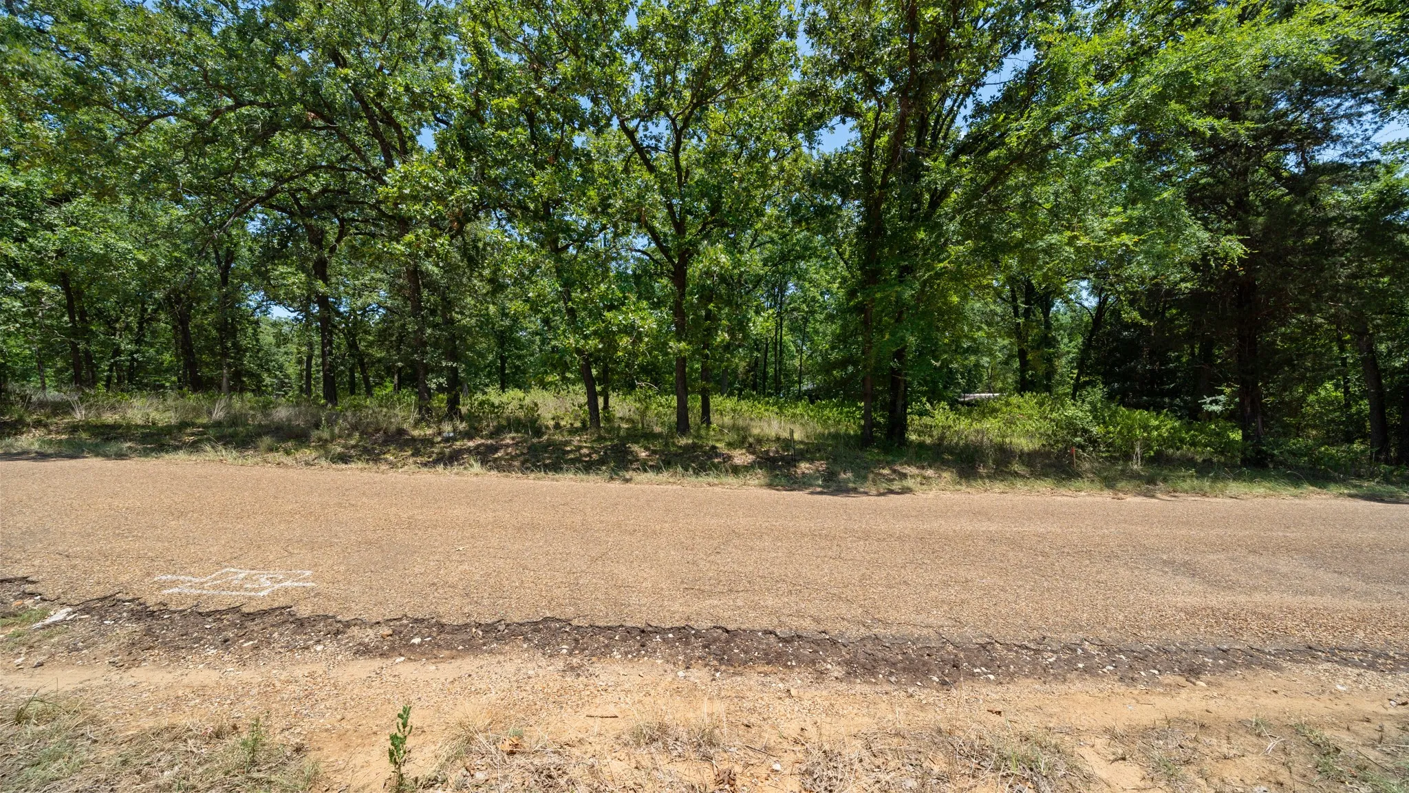 Unimproved Land For Sale in Henderson County , 00 Hickory Street Lot 89, Mabank, Texas 75156, 0, 0, Garage spaces, 0 Sqft, built in 0, mls#21322041, Real Estate Agent in Mabank, Homes For Sale in Henderson county, Homes For Sale in Mabank, Realtor in Mabank Texas, Real Estate Brokerage Independent Realty Texas, Luminita Cordes Realtor