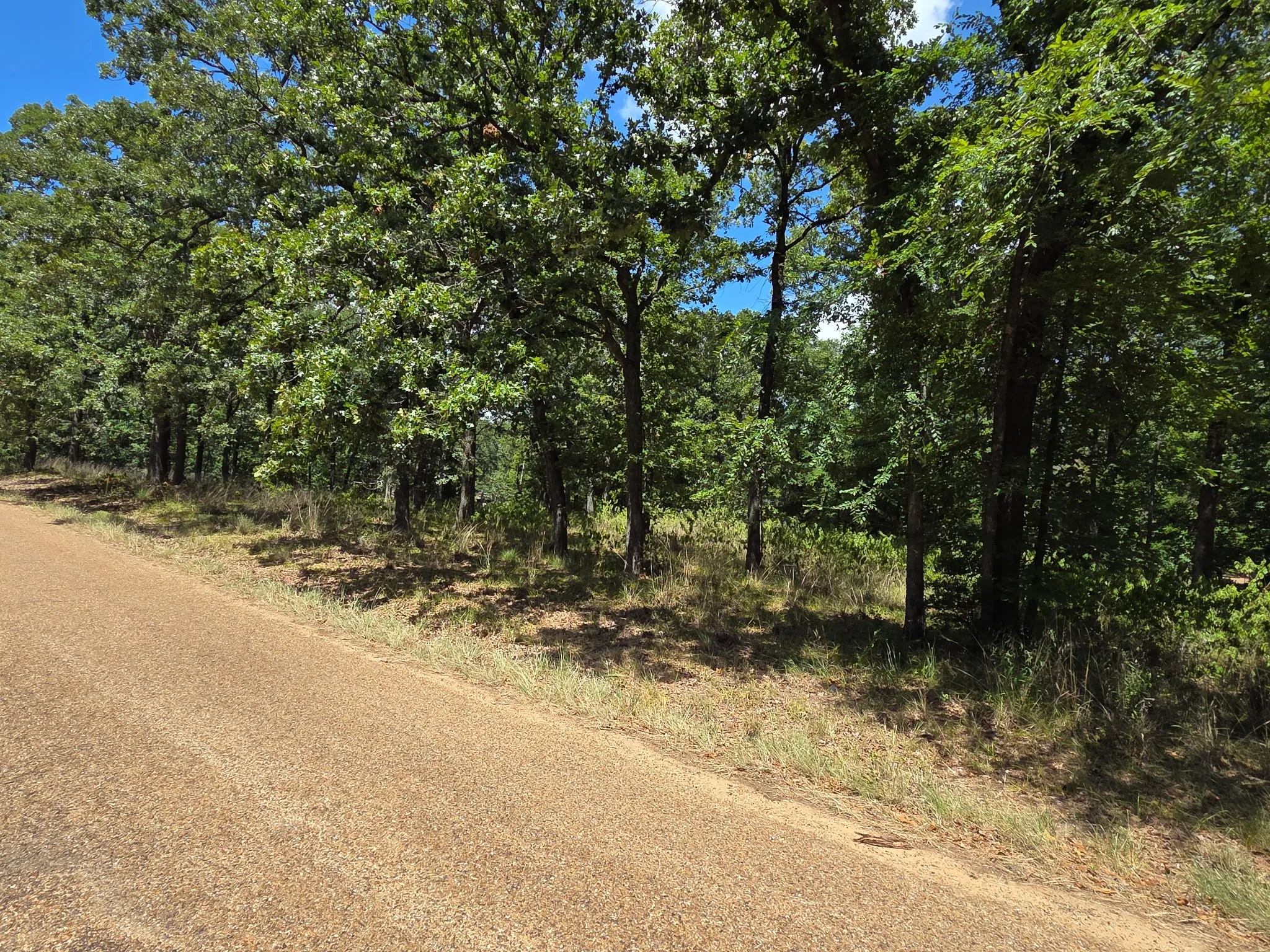 Unimproved Land For Sale in Henderson County , 00 Hickory Street Lot 89, Mabank, Texas 75156, 0, 0, Garage spaces, 0 Sqft, built in 0, mls#21322041, Real Estate Agent in Mabank, Homes For Sale in Henderson county, Homes For Sale in Mabank, Realtor in Mabank Texas, Real Estate Brokerage Independent Realty Texas, Luminita Cordes Realtor