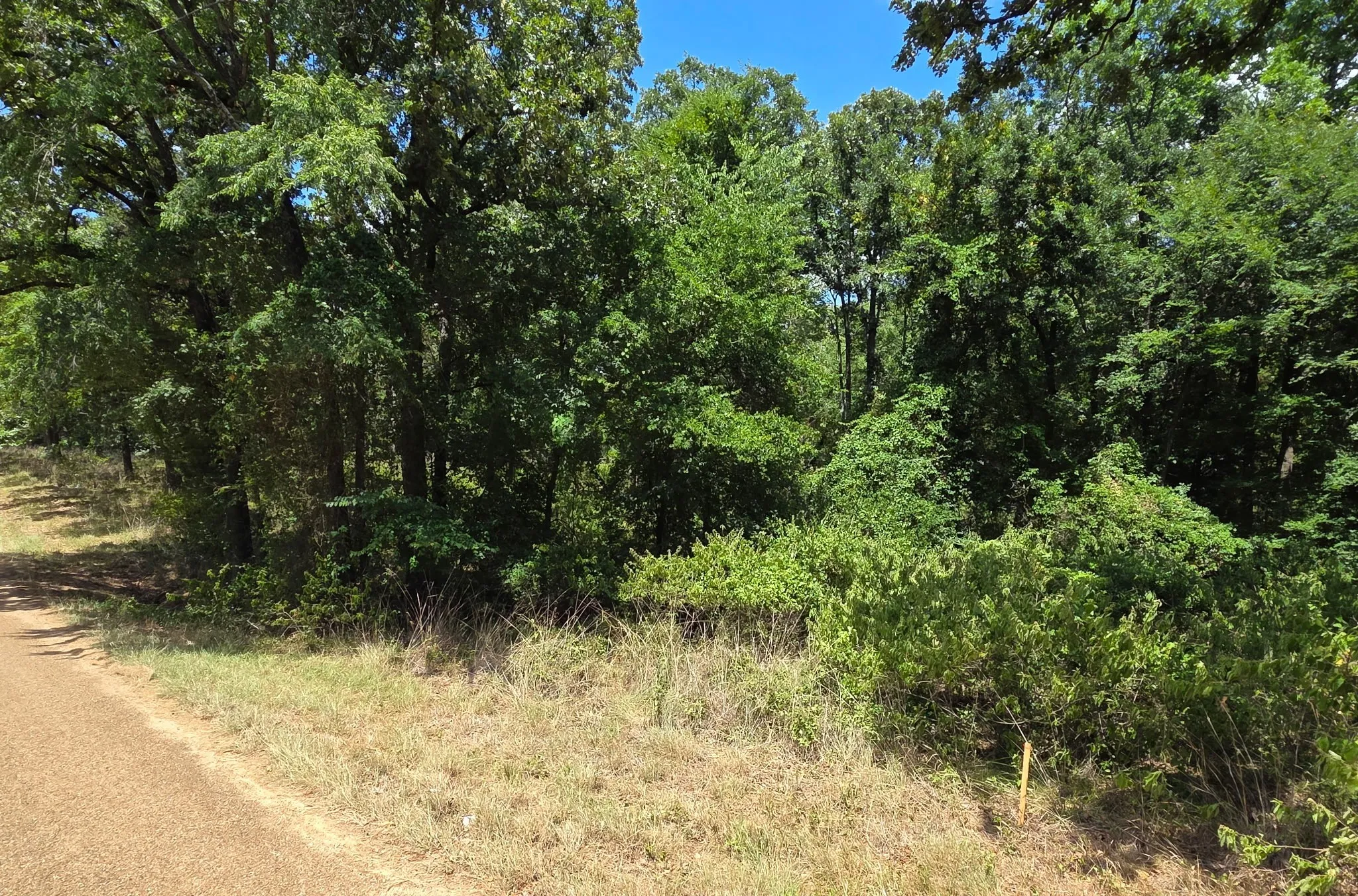 Unimproved Land For Sale in Henderson County , 0 Hickory Street Lot 90, Mabank, Texas 75156, 0, 0, Garage spaces, 0 Sqft, built in 0, mls#21322044, Real Estate Agent in Mabank, Homes For Sale in Henderson county, Homes For Sale in Mabank, Realtor in Mabank Texas, Real Estate Brokerage Independent Realty Texas, Luminita Cordes Realtor