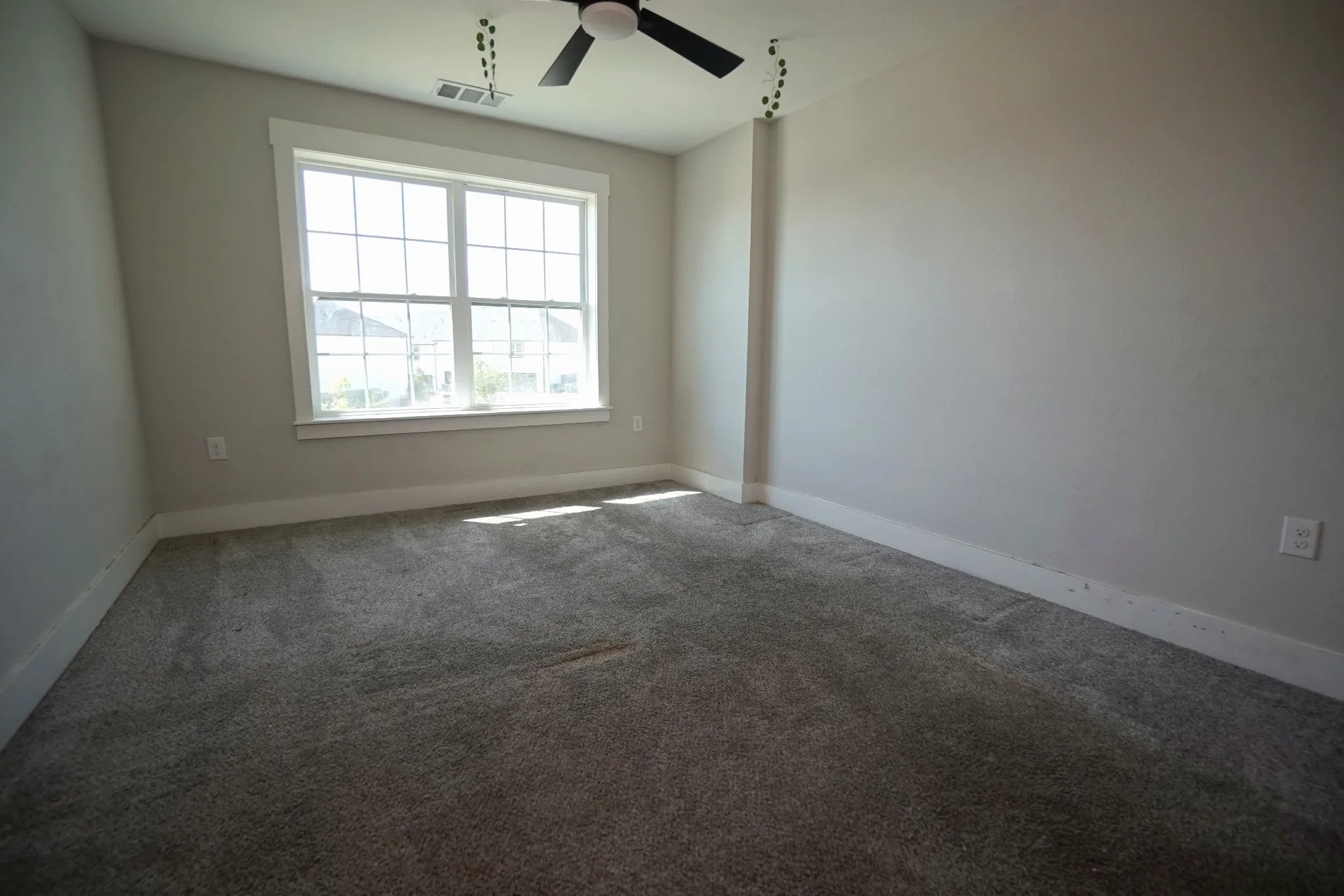 Carpeted room featuring a large window with white trim, a ceiling fan, and painted walls