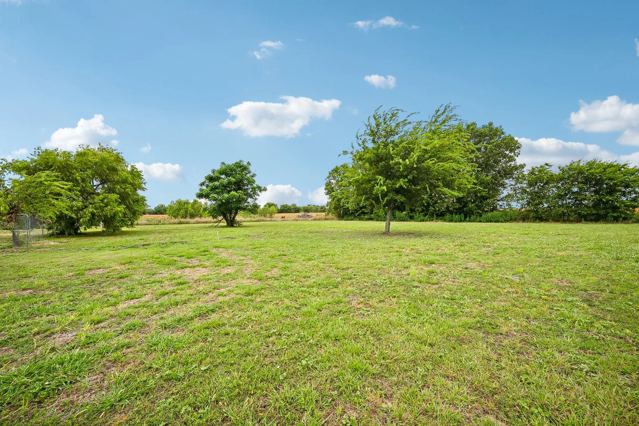 Expansive grassy field featuring mature trees and a clear sky