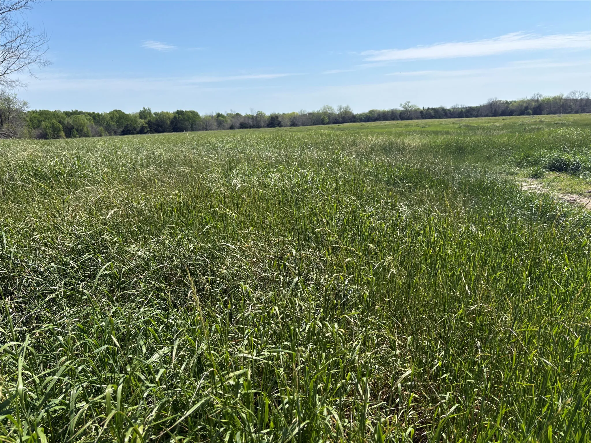 Unimproved Land For Sale in Hopkins County , TBD 70ac CR 4744, Sulphur Springs, Texas 75482, 0, 0, Garage spaces, 0 Sqft, built in 0, mls#21319662, Real Estate Agent in Sulphur Springs, Homes For Sale in Hopkins county, Homes For Sale in Sulphur Springs, Realtor in Sulphur Springs Texas, Real Estate Brokerage Independent Realty Texas, Luminita Cordes Realtor