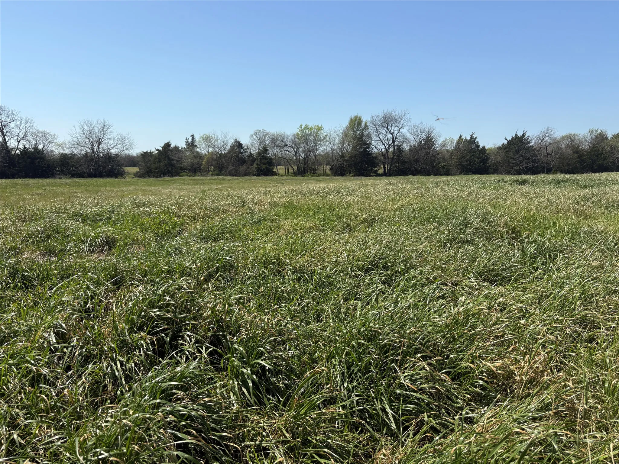 Unimproved Land For Sale in Hopkins County , TBD 70ac CR 4744, Sulphur Springs, Texas 75482, 0, 0, Garage spaces, 0 Sqft, built in 0, mls#21319662, Real Estate Agent in Sulphur Springs, Homes For Sale in Hopkins county, Homes For Sale in Sulphur Springs, Realtor in Sulphur Springs Texas, Real Estate Brokerage Independent Realty Texas, Luminita Cordes Realtor