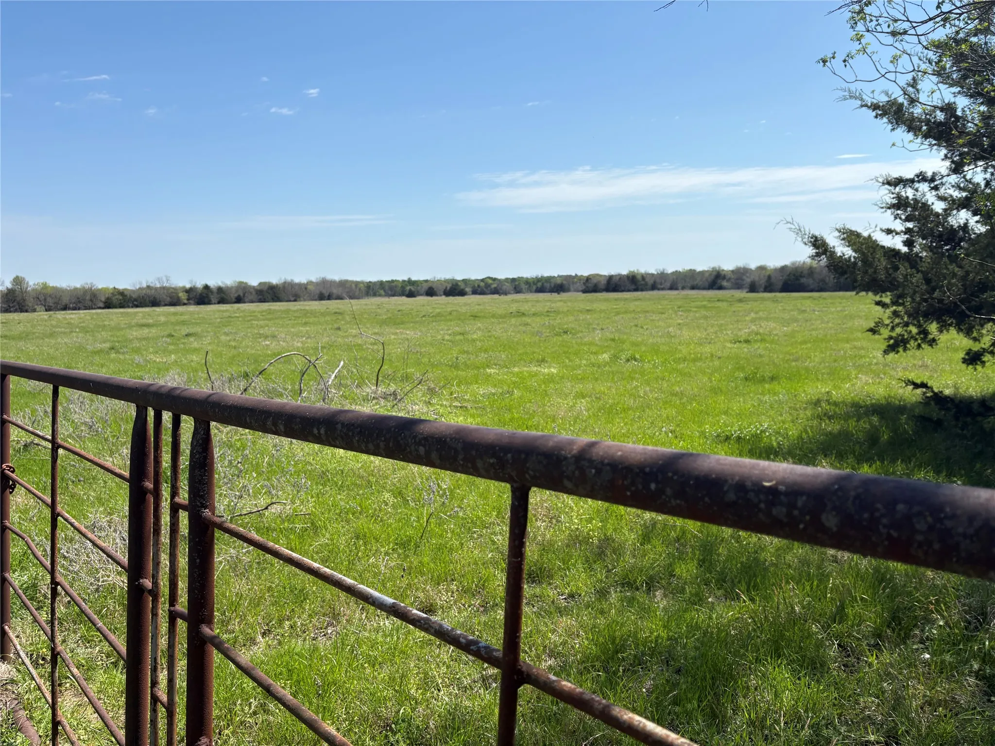 Unimproved Land For Sale in Hopkins County , TBD 70ac CR 4744, Sulphur Springs, Texas 75482, 0, 0, Garage spaces, 0 Sqft, built in 0, mls#21319662, Real Estate Agent in Sulphur Springs, Homes For Sale in Hopkins county, Homes For Sale in Sulphur Springs, Realtor in Sulphur Springs Texas, Real Estate Brokerage Independent Realty Texas, Luminita Cordes Realtor