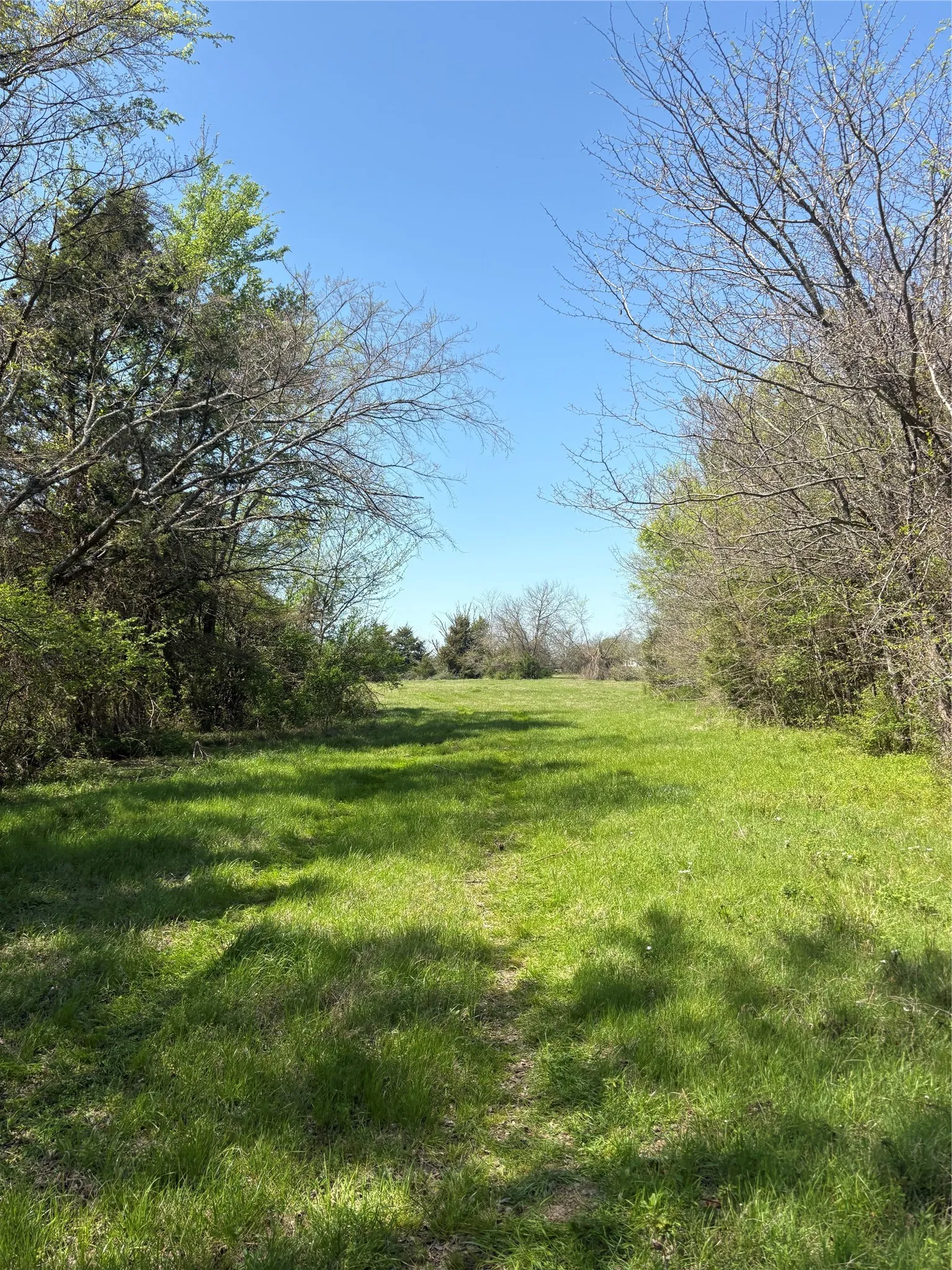Unimproved Land For Sale in Hopkins County , TBD 70ac CR 4744, Sulphur Springs, Texas 75482, 0, 0, Garage spaces, 0 Sqft, built in 0, mls#21319662, Real Estate Agent in Sulphur Springs, Homes For Sale in Hopkins county, Homes For Sale in Sulphur Springs, Realtor in Sulphur Springs Texas, Real Estate Brokerage Independent Realty Texas, Luminita Cordes Realtor