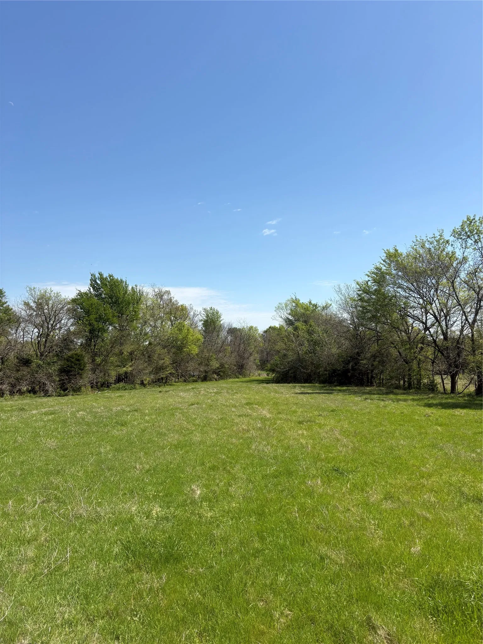Unimproved Land For Sale in Hopkins County , TBD 70ac CR 4744, Sulphur Springs, Texas 75482, 0, 0, Garage spaces, 0 Sqft, built in 0, mls#21319662, Real Estate Agent in Sulphur Springs, Homes For Sale in Hopkins county, Homes For Sale in Sulphur Springs, Realtor in Sulphur Springs Texas, Real Estate Brokerage Independent Realty Texas, Luminita Cordes Realtor