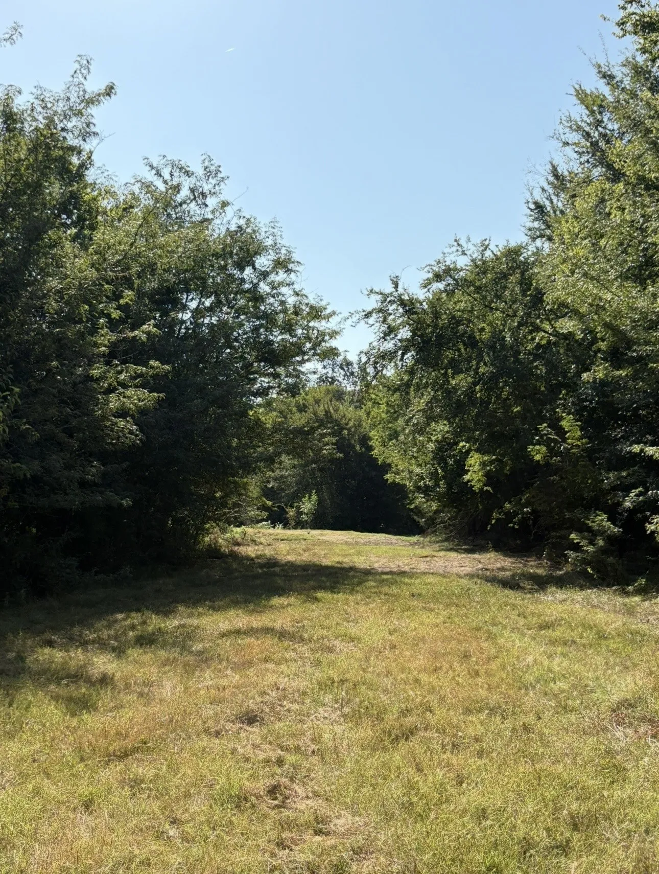 Unimproved Land For Sale in Hopkins County , TBD 70ac CR 4744, Sulphur Springs, Texas 75482, 0, 0, Garage spaces, 0 Sqft, built in 0, mls#21319662, Real Estate Agent in Sulphur Springs, Homes For Sale in Hopkins county, Homes For Sale in Sulphur Springs, Realtor in Sulphur Springs Texas, Real Estate Brokerage Independent Realty Texas, Luminita Cordes Realtor