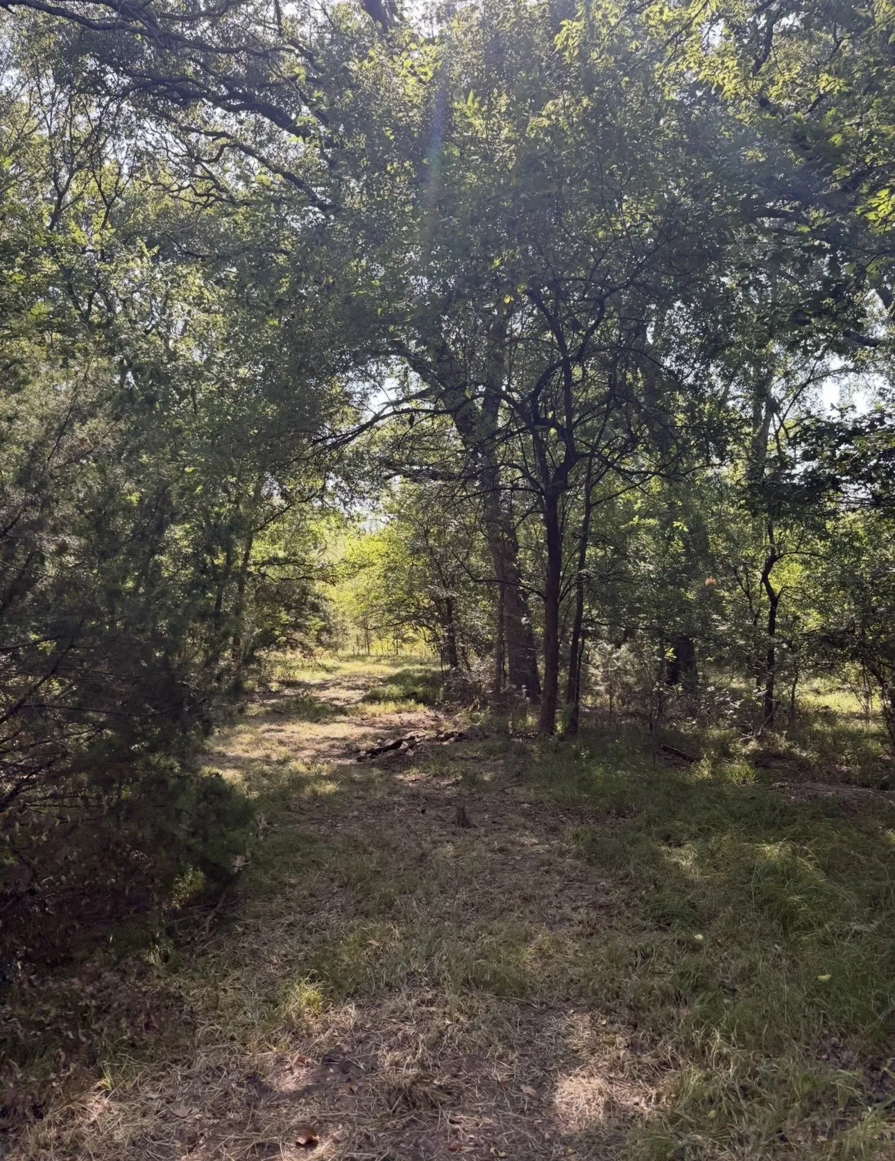 Unimproved Land For Sale in Hopkins County , TBD 70ac CR 4744, Sulphur Springs, Texas 75482, 0, 0, Garage spaces, 0 Sqft, built in 0, mls#21319662, Real Estate Agent in Sulphur Springs, Homes For Sale in Hopkins county, Homes For Sale in Sulphur Springs, Realtor in Sulphur Springs Texas, Real Estate Brokerage Independent Realty Texas, Luminita Cordes Realtor