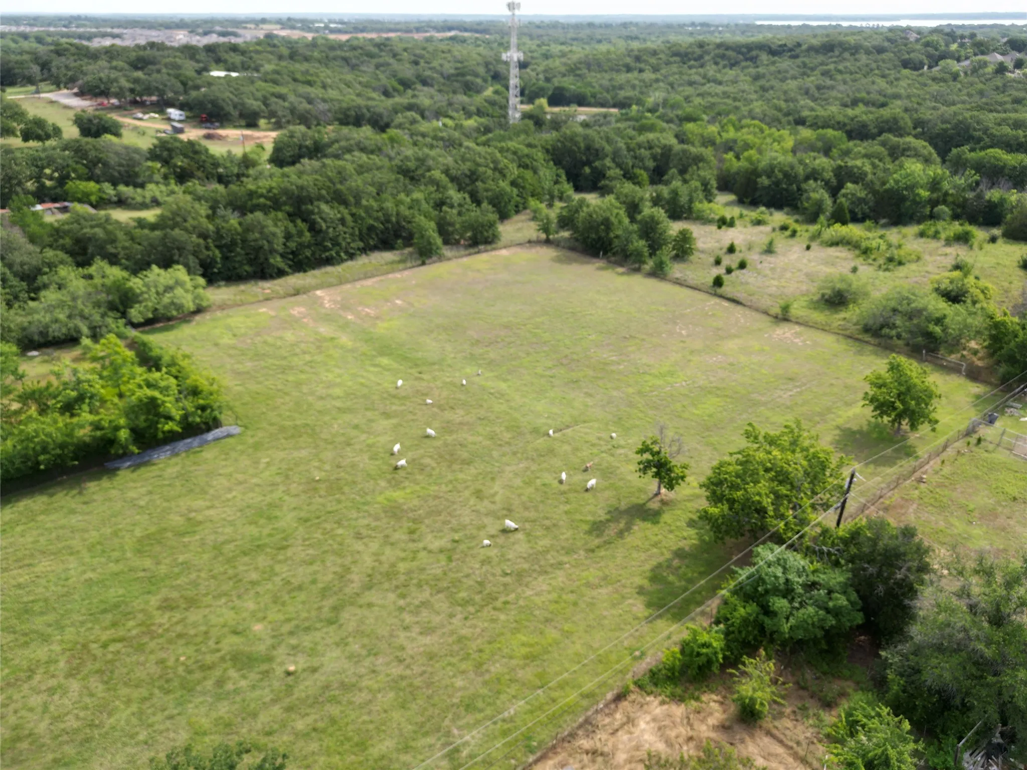 Improved Land For Sale in Denton County , 3940 Swisher Road, Denton, Texas 76208, 0, 0, Garage spaces, 0 Sqft, built in 2000, mls#21296261, Real Estate Agent in Denton, Homes For Sale in Denton county, Homes For Sale in Denton, Realtor in Denton Texas, Real Estate Brokerage Independent Realty Texas, Luminita Cordes Realtor
