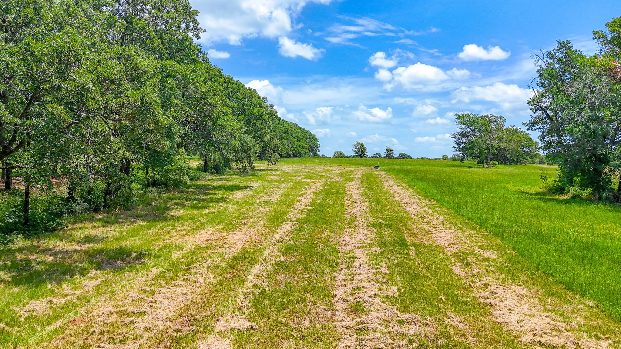 Unimproved Land For Sale in Navarro County , Lot 59 Admiral Shores, Streetman, Texas 75859, 0, 0, Garage spaces, 0 Sqft, built in 0, Price $250,000, mls#21322280, Real Estate Agent in Streetman, Homes For Sale in Navarro county, Homes For Sale in Streetman, Realtor in Streetman Texas, Real Estate Brokerage Independent Realty Texas, Luminita Cordes Realtor