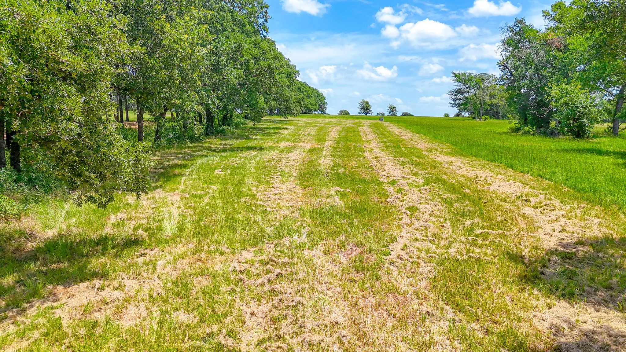 Unimproved Land For Sale in Navarro County , Lot 59 Admiral Shores, Streetman, Texas 75859, 0, 0, Garage spaces, 0 Sqft, built in 0, Price $250,000, mls#21322280, Real Estate Agent in Streetman, Homes For Sale in Navarro county, Homes For Sale in Streetman, Realtor in Streetman Texas, Real Estate Brokerage Independent Realty Texas, Luminita Cordes Realtor
