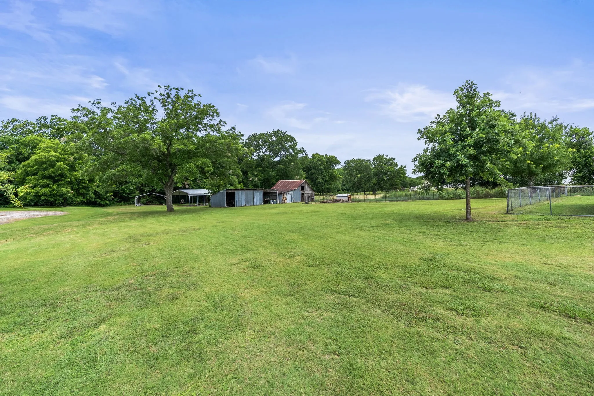 Expansive green lawn with mature trees and a chain link fence