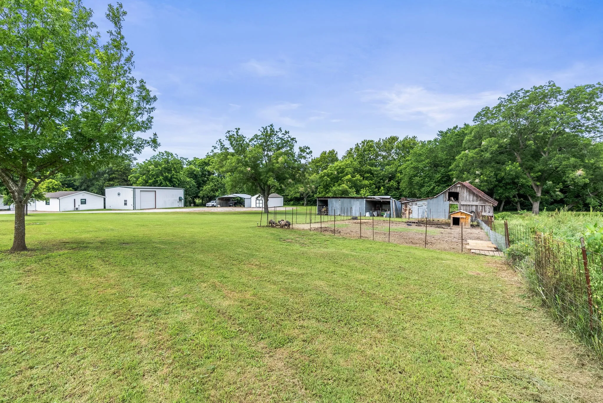 Expansive grassy parcel with multiple outbuildings including a white detached structure, a large white and grey metal building, and several smaller metal sheds