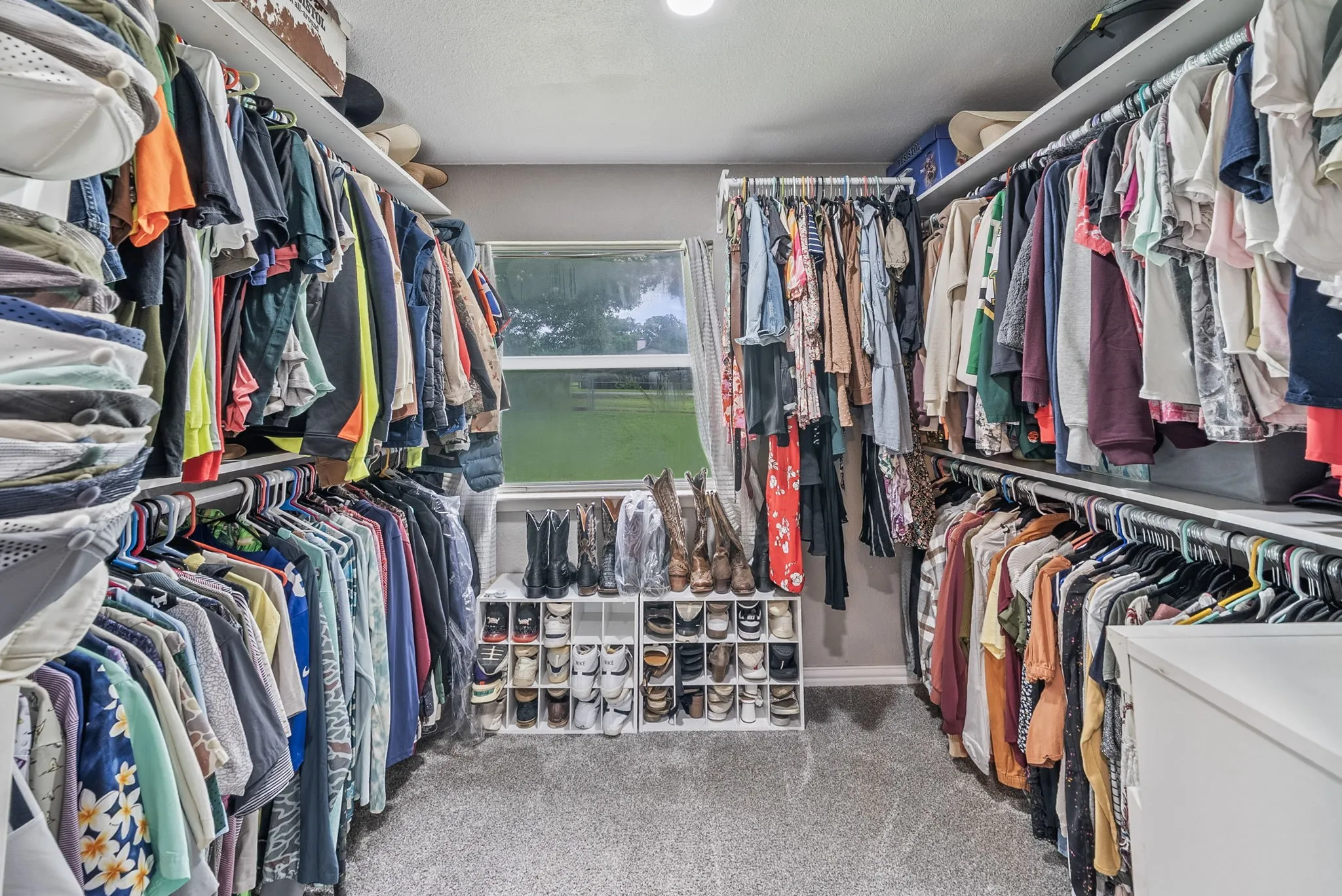 Walk-in closet featuring carpet flooring, a large window, and built-in shelving with hanging rods