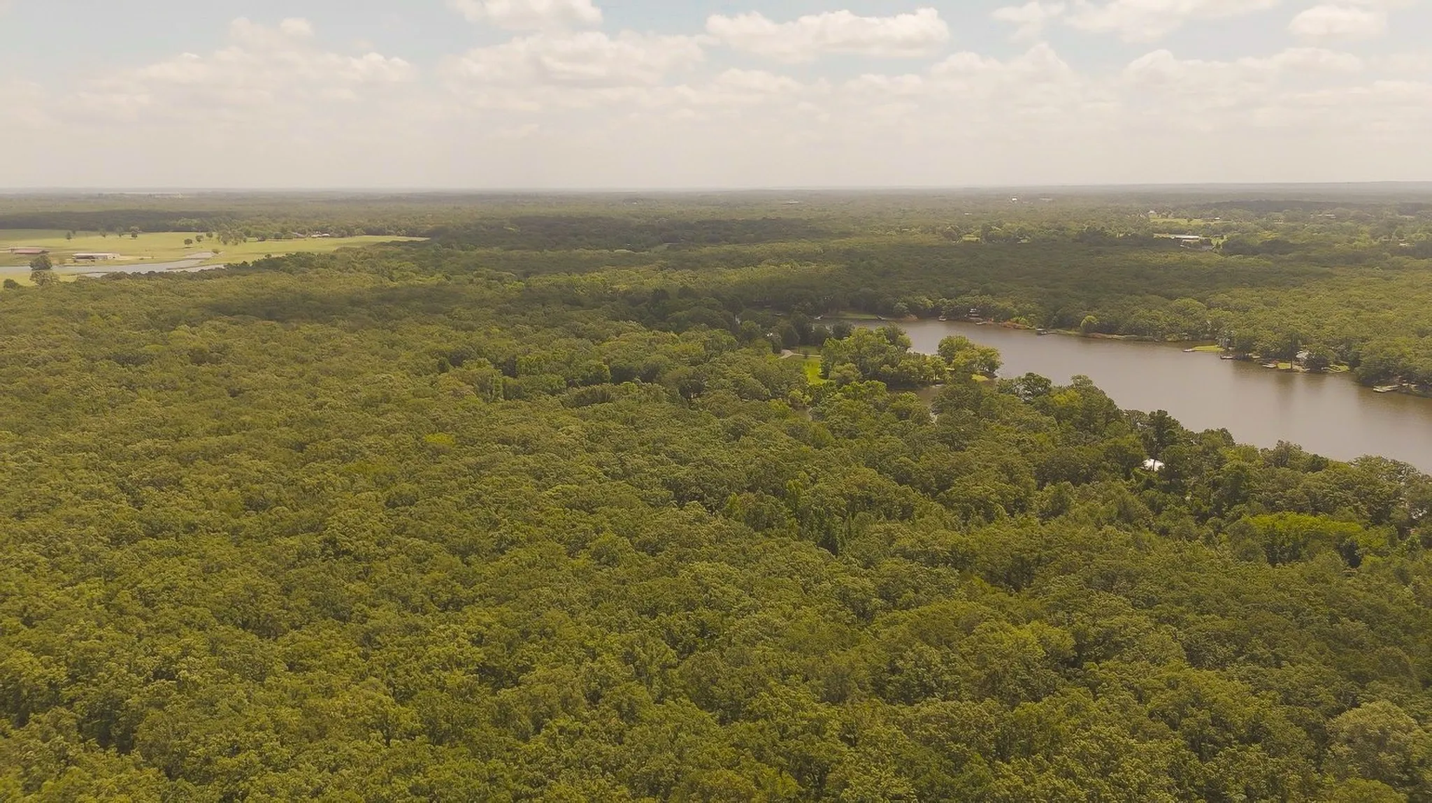 Unimproved Land For Sale in Wood County , TBD County Road 1695, Alba, Texas 75410, 0, 0, Garage spaces, 0 Sqft, built in 0, mls#21293248, Real Estate Agent in Alba, Homes For Sale in Wood county, Homes For Sale in Alba, Realtor in Alba Texas, Real Estate Brokerage Independent Realty Texas, Luminita Cordes Realtor