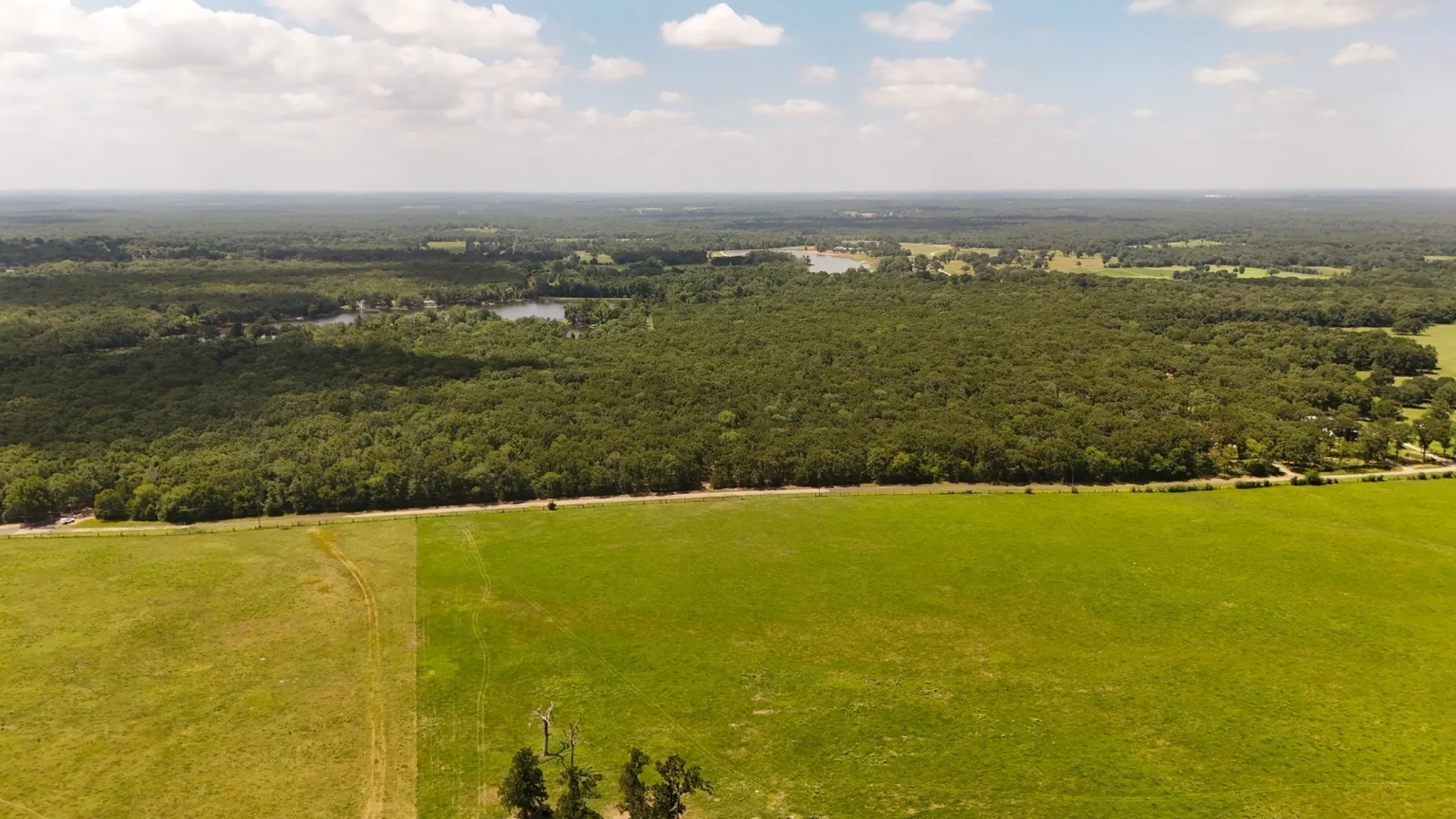 Unimproved Land For Sale in Wood County , TBD County Road 1695, Alba, Texas 75410, 0, 0, Garage spaces, 0 Sqft, built in 0, mls#21293248, Real Estate Agent in Alba, Homes For Sale in Wood county, Homes For Sale in Alba, Realtor in Alba Texas, Real Estate Brokerage Independent Realty Texas, Luminita Cordes Realtor