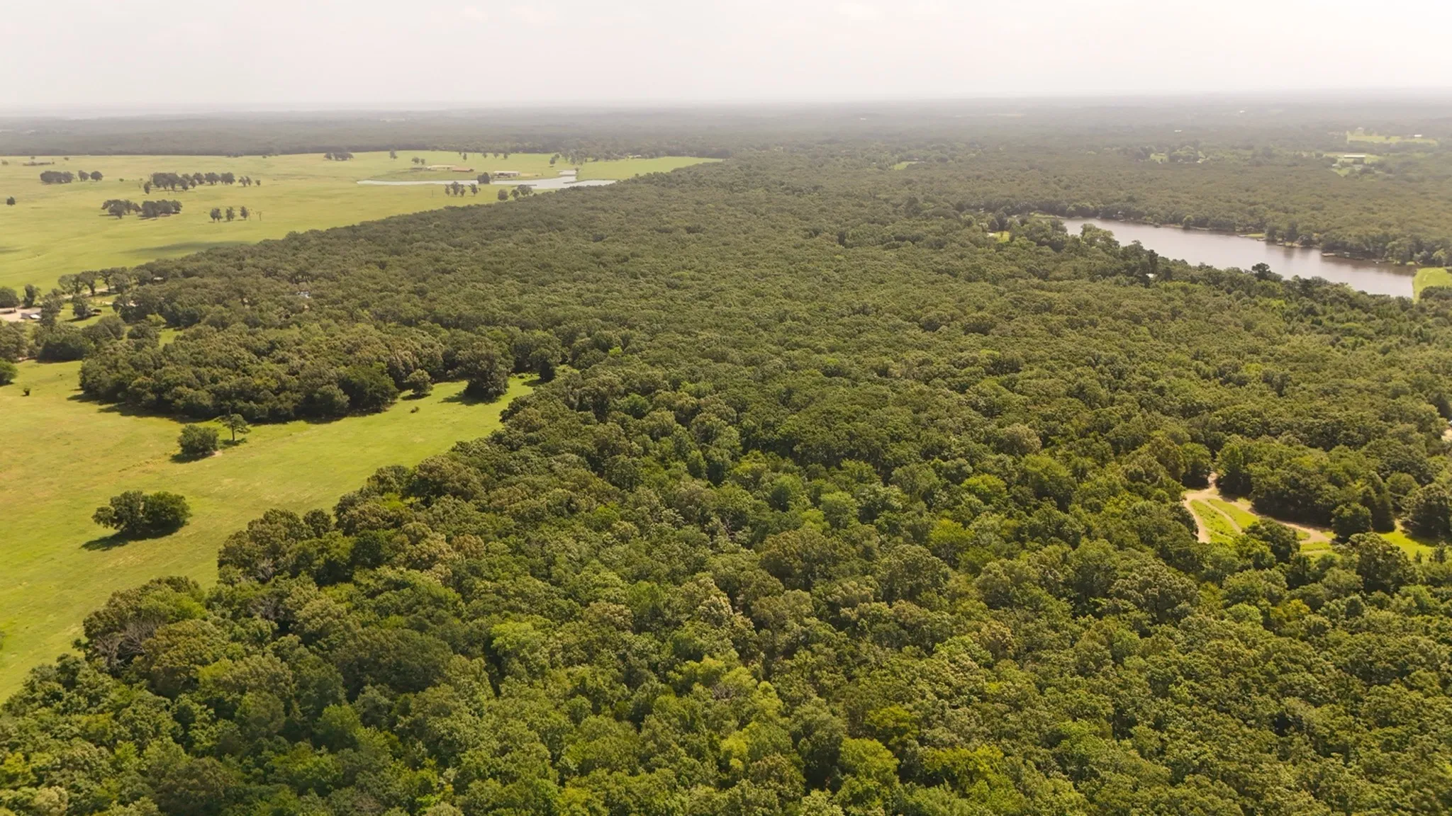 Unimproved Land For Sale in Wood County , TBD County Road 1695, Alba, Texas 75410, 0, 0, Garage spaces, 0 Sqft, built in 0, mls#21293248, Real Estate Agent in Alba, Homes For Sale in Wood county, Homes For Sale in Alba, Realtor in Alba Texas, Real Estate Brokerage Independent Realty Texas, Luminita Cordes Realtor