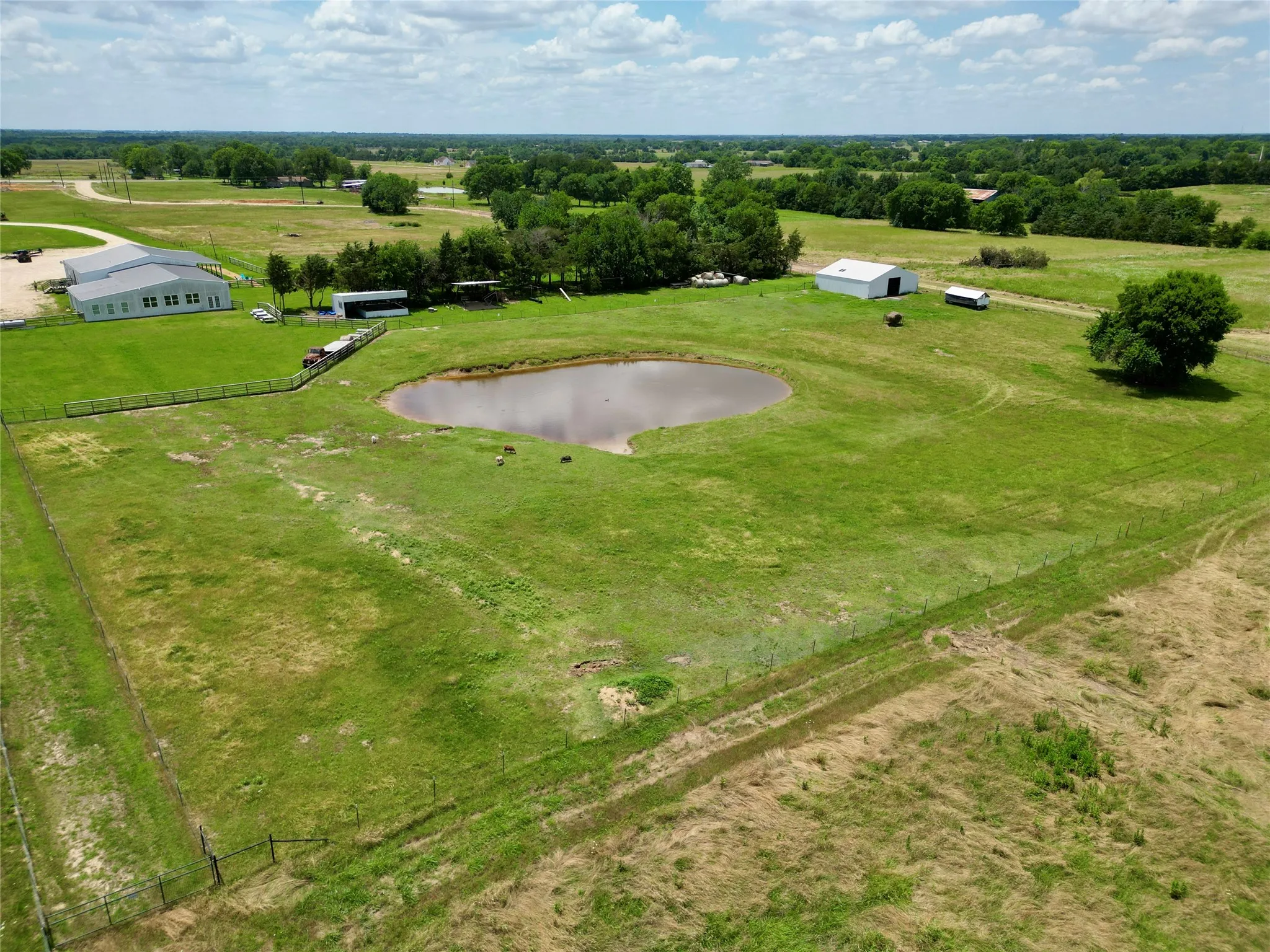 Expansive green acreage featuring a large pond, several white-colored outbuildings, and scattered mature trees