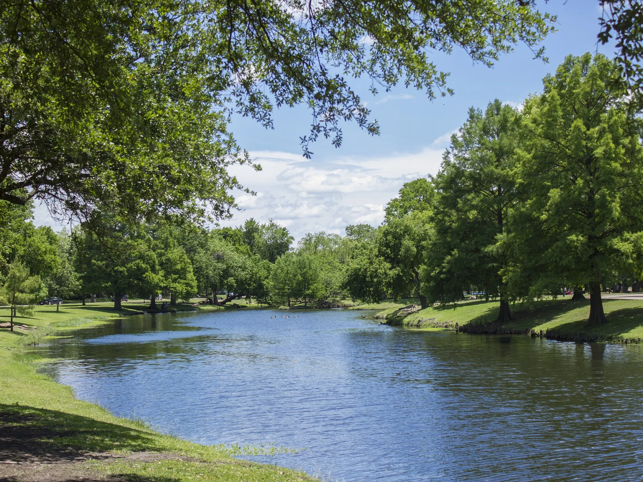 Neighborhood pond