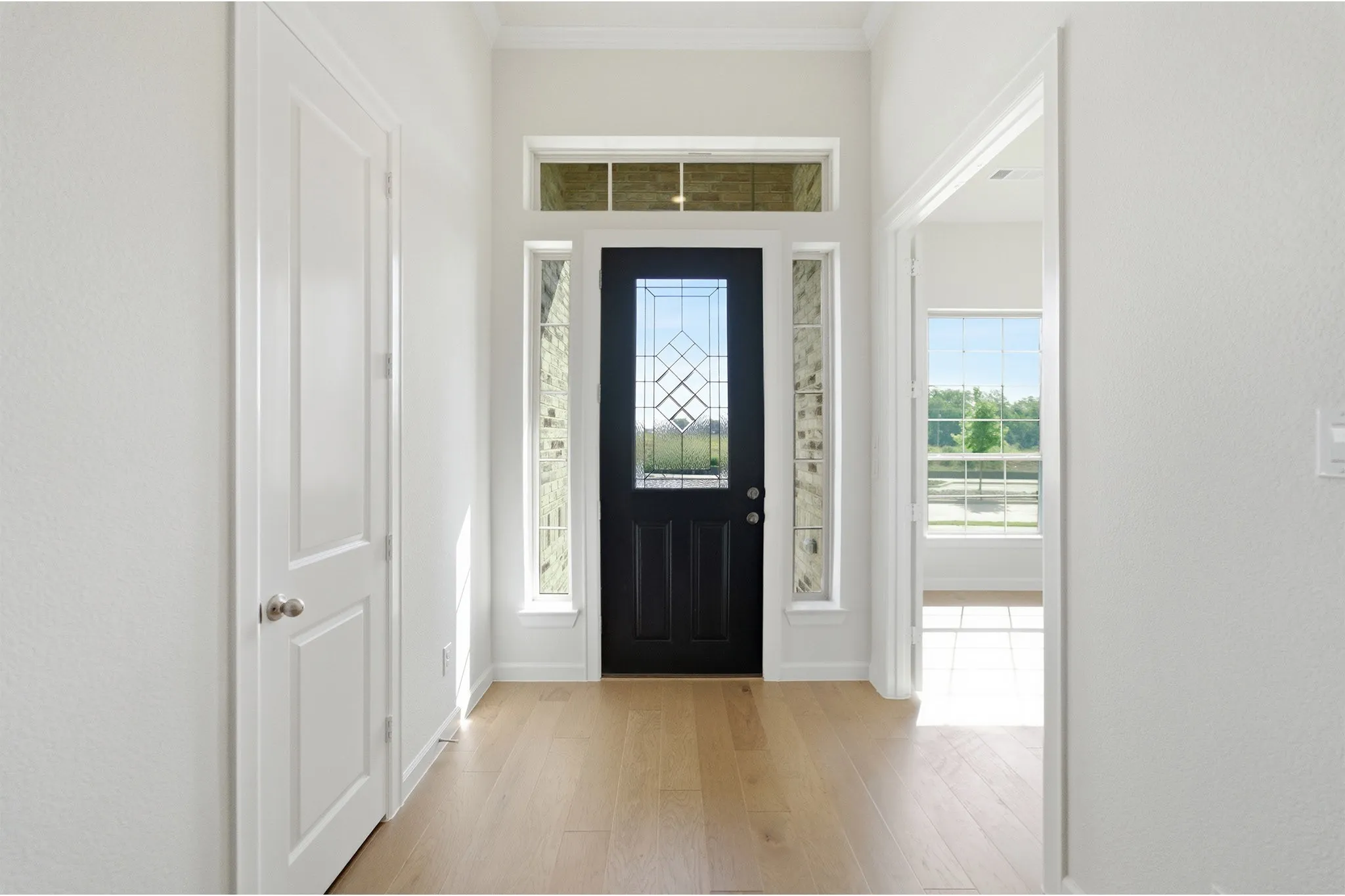 Entryway featuring a dark paneled door with decorative glass, side lights, and transom windows