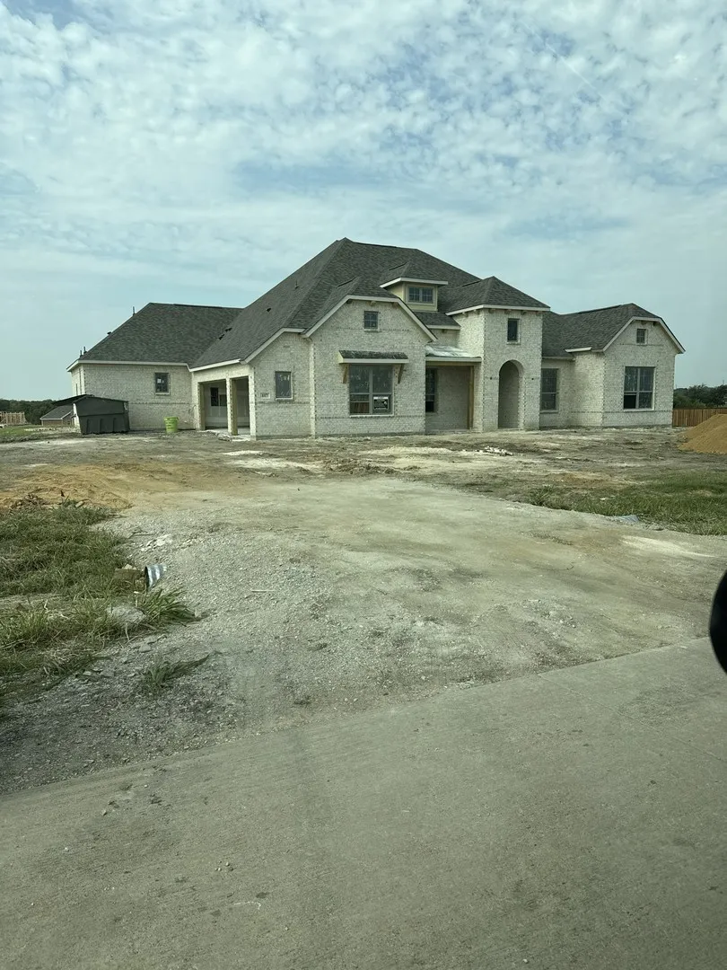117 Swan Lake