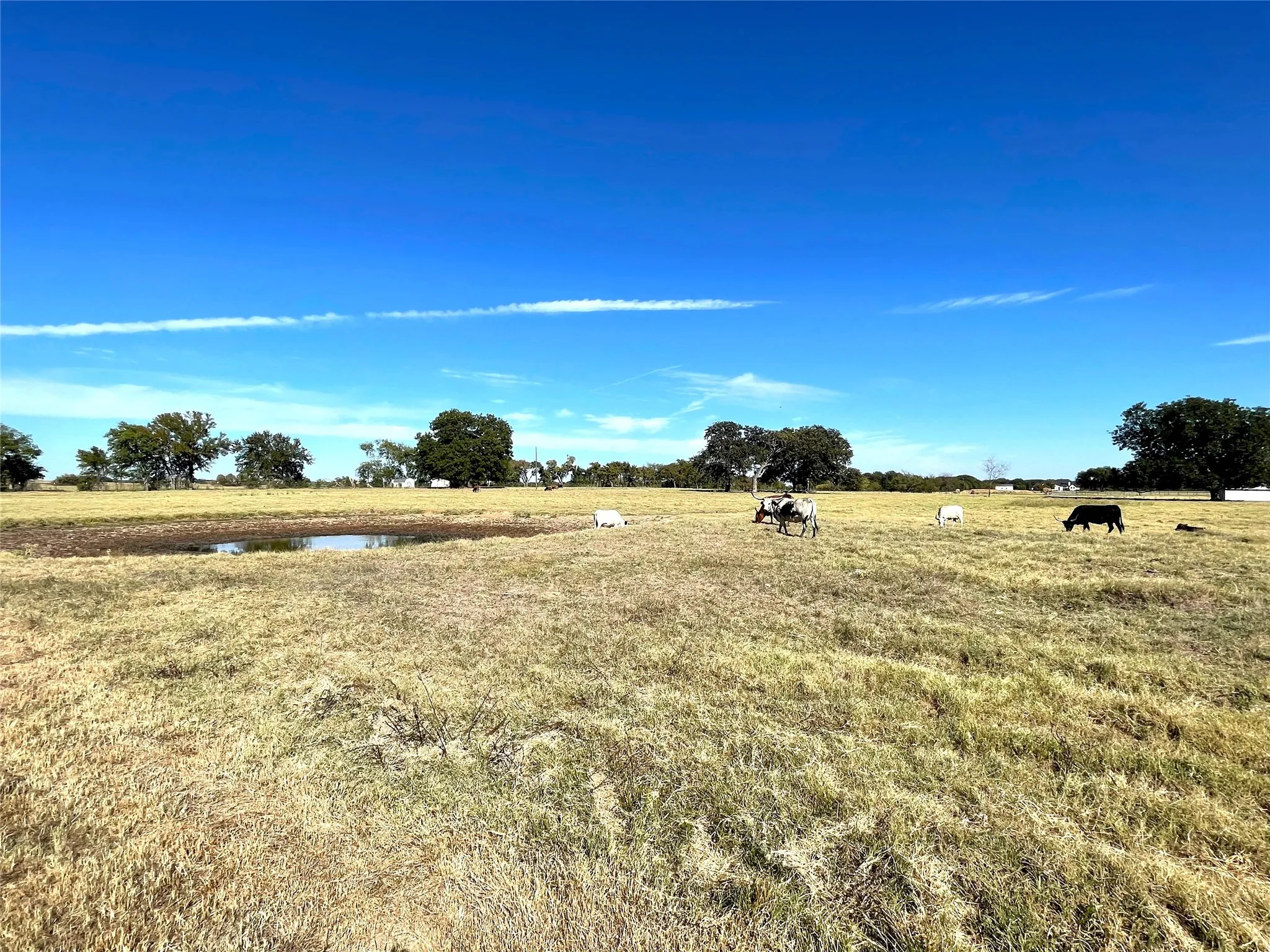 Single Family Residence For Sale in Grayson County , 432 William Brewer Road, Collinsville, Texas 76721, 3 Bedrooms, 4 Bathrooms, 3 Garage spaces, 3,590 Sqft, built in 2026, Price $979,000, mls#21322455, Real Estate Agent in Collinsville, Homes For Sale in Grayson county, Homes For Sale in Collinsville, Realtor in Collinsville Texas, Real Estate Brokerage Independent Realty Texas, Luminita Cordes Realtor