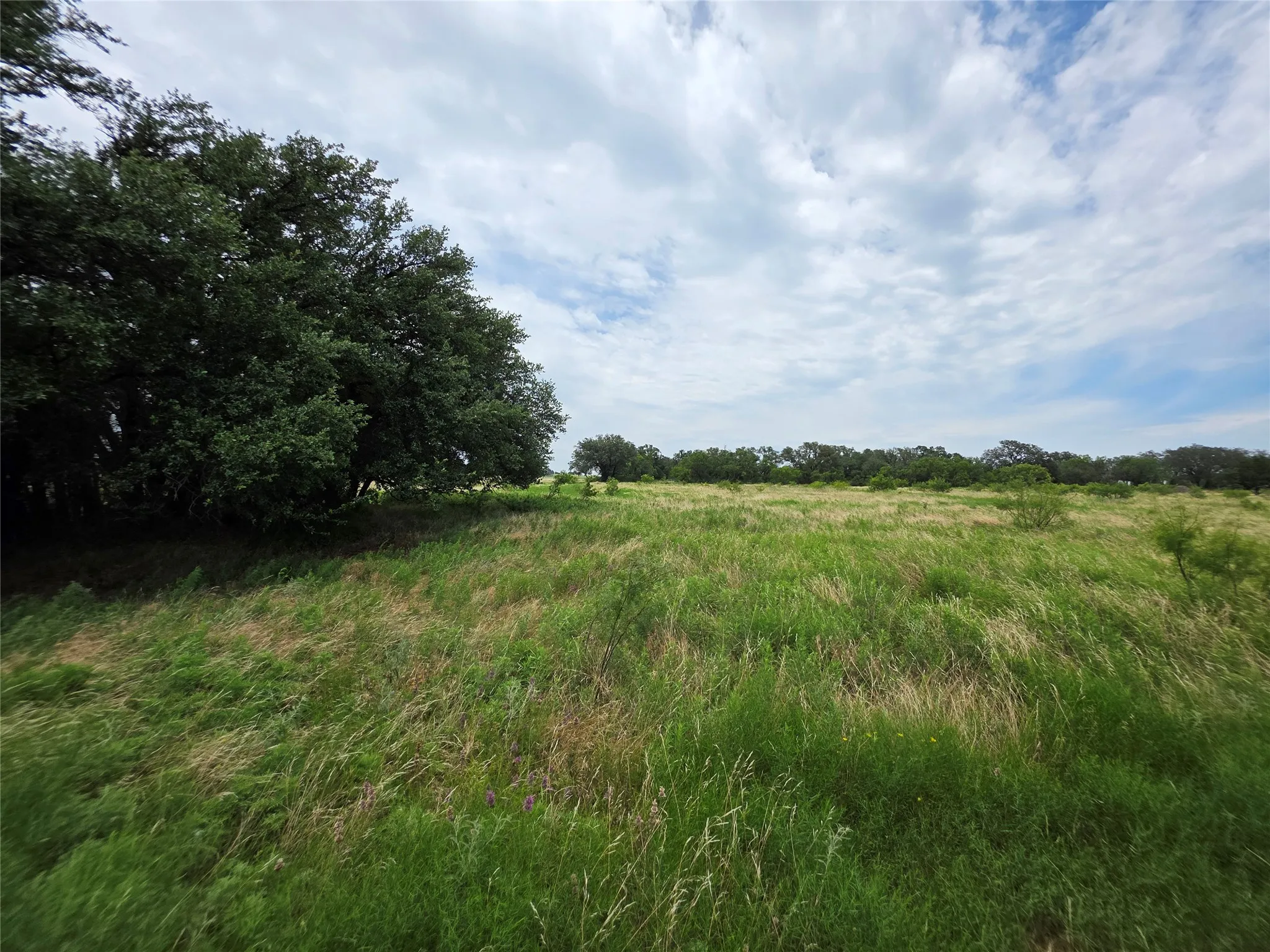 Ranch For Sale in Brown County , 2251 Fm 585, Bangs, Texas 76823, 0, 0, Garage spaces, 0 Sqft, built in 0, Price $1,769,875, mls#21322475, Real Estate Agent in Bangs, Homes For Sale in Brown county, Homes For Sale in Bangs, Realtor in Bangs Texas, Real Estate Brokerage Independent Realty Texas, Luminita Cordes Realtor