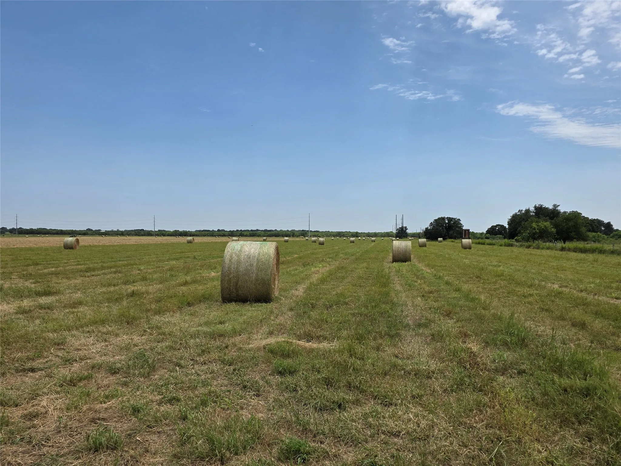 Ranch For Sale in Brown County , 2251 Fm 585, Bangs, Texas 76823, 0, 0, Garage spaces, 0 Sqft, built in 0, Price $1,769,875, mls#21322475, Real Estate Agent in Bangs, Homes For Sale in Brown county, Homes For Sale in Bangs, Realtor in Bangs Texas, Real Estate Brokerage Independent Realty Texas, Luminita Cordes Realtor