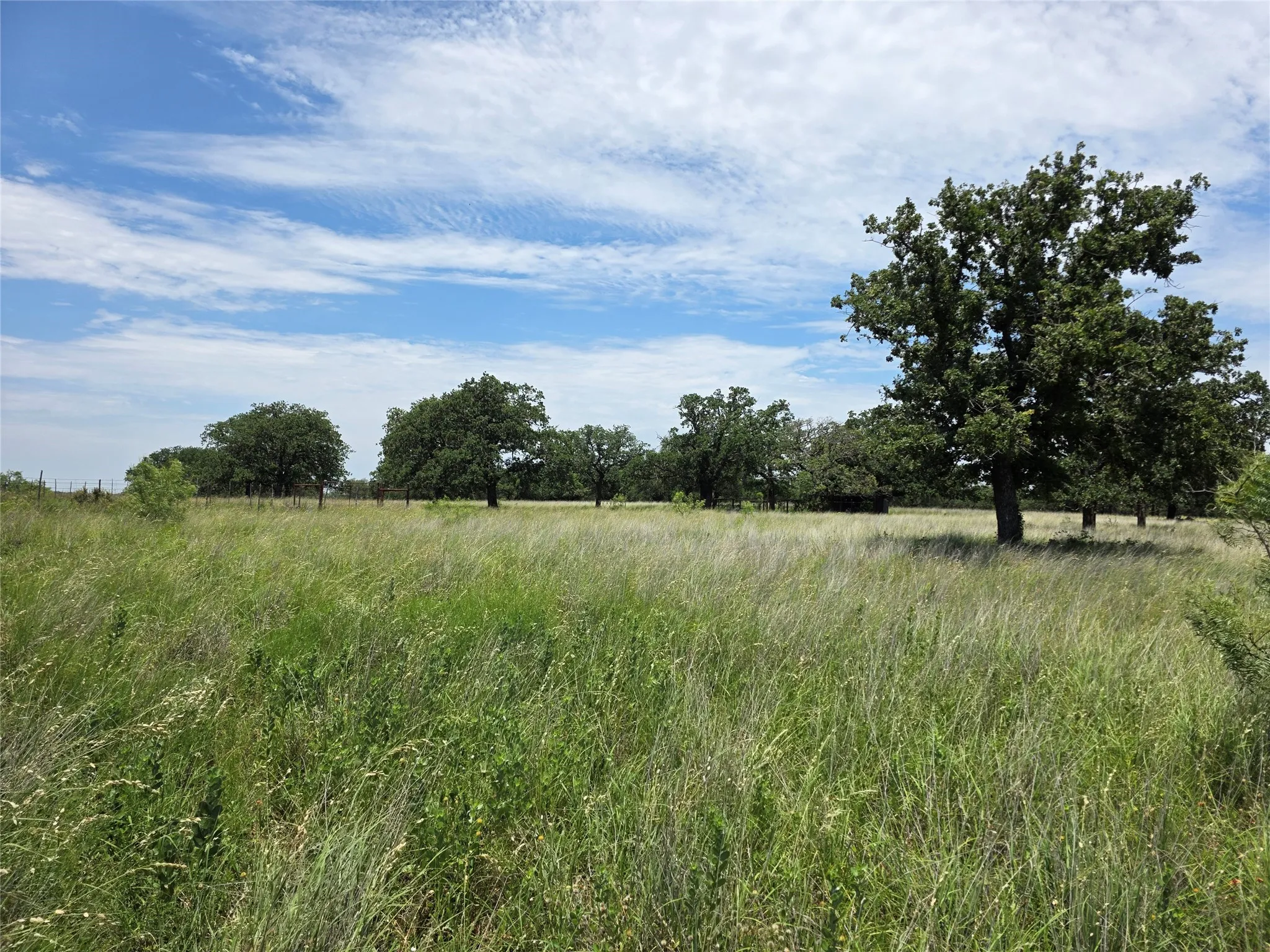Ranch For Sale in Brown County , 2251 Fm 585, Bangs, Texas 76823, 0, 0, Garage spaces, 0 Sqft, built in 0, Price $1,769,875, mls#21322475, Real Estate Agent in Bangs, Homes For Sale in Brown county, Homes For Sale in Bangs, Realtor in Bangs Texas, Real Estate Brokerage Independent Realty Texas, Luminita Cordes Realtor