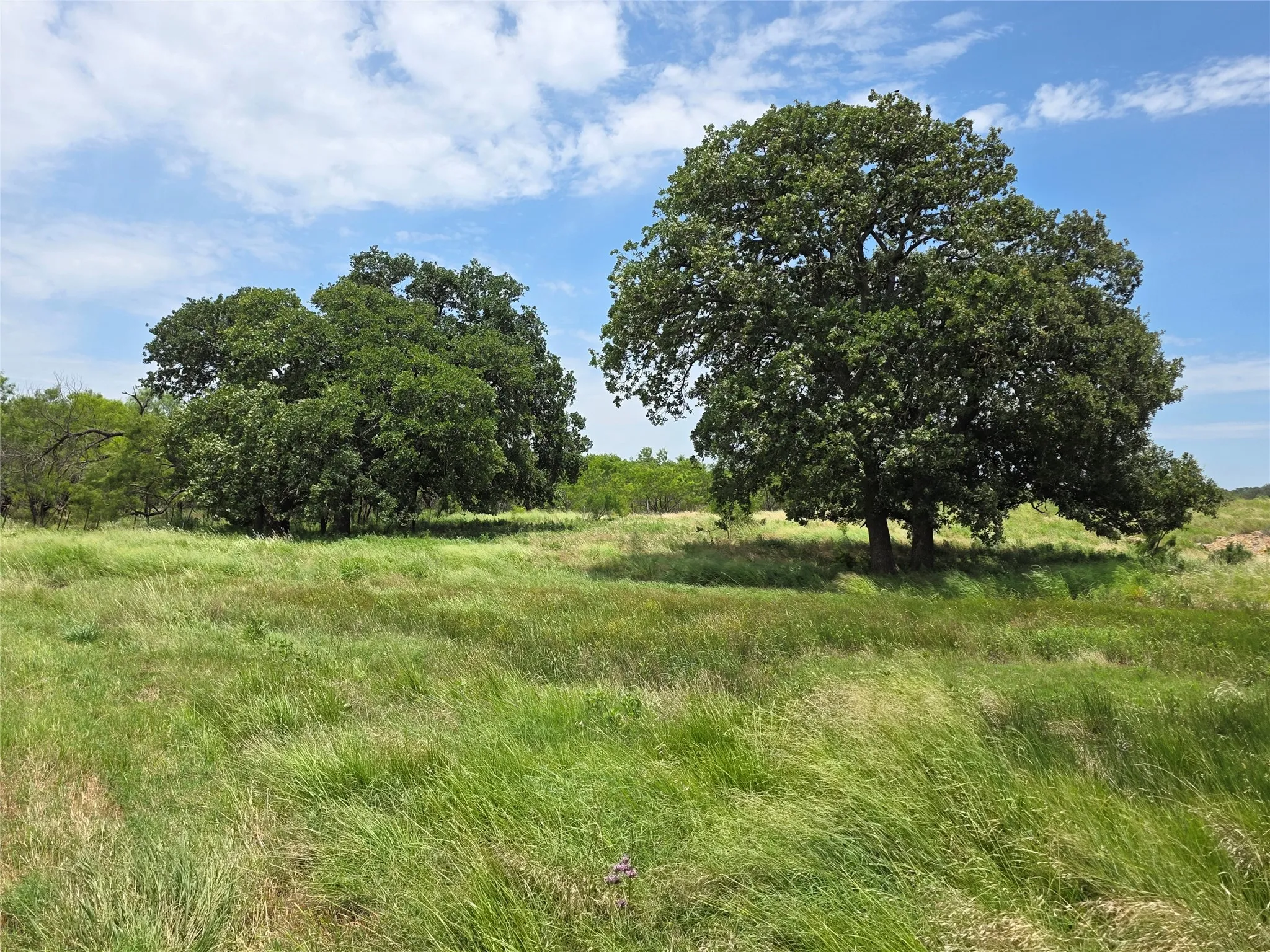 Ranch For Sale in Brown County , 2251 Fm 585, Bangs, Texas 76823, 0, 0, Garage spaces, 0 Sqft, built in 0, Price $1,769,875, mls#21322475, Real Estate Agent in Bangs, Homes For Sale in Brown county, Homes For Sale in Bangs, Realtor in Bangs Texas, Real Estate Brokerage Independent Realty Texas, Luminita Cordes Realtor