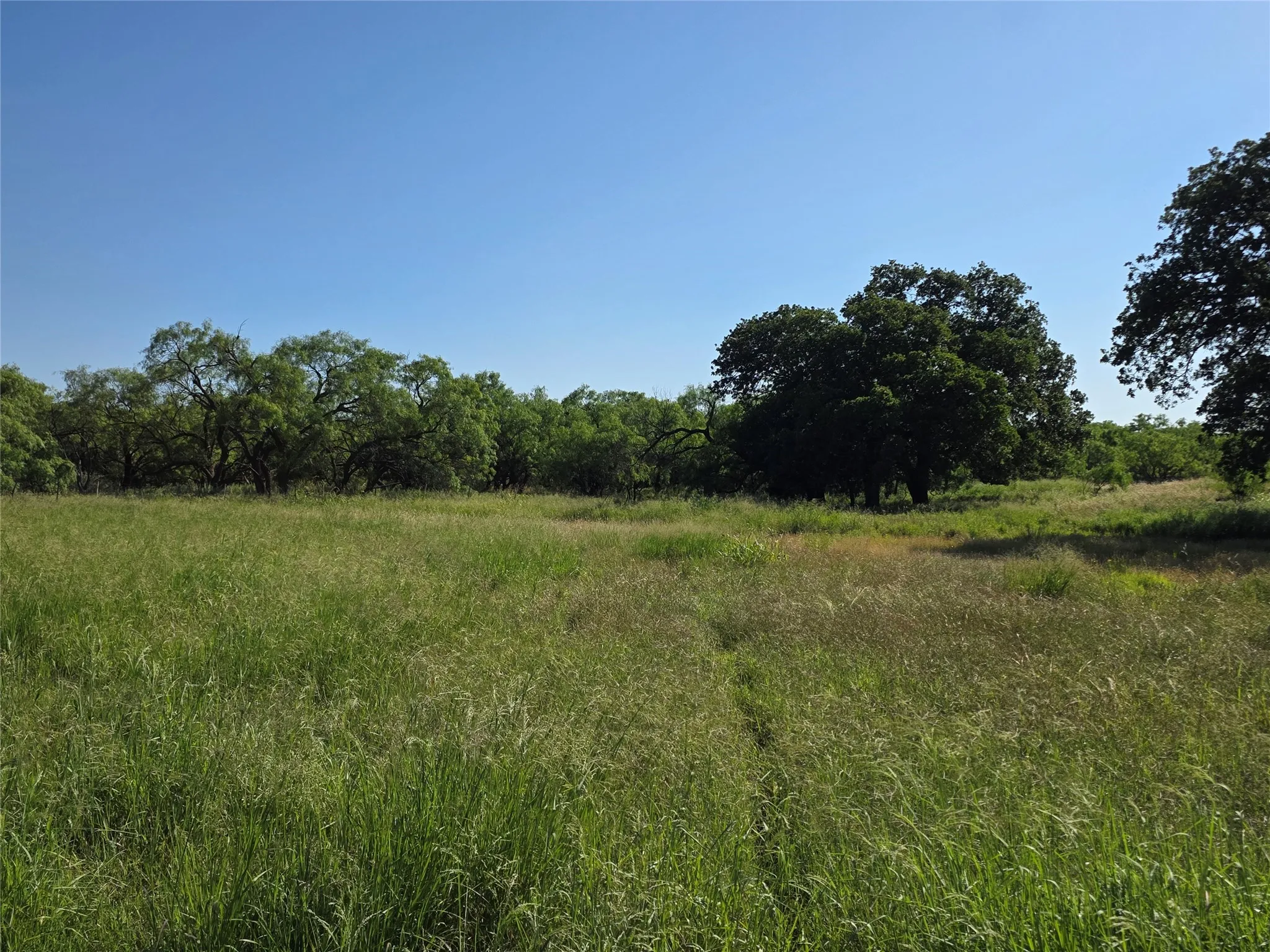 Ranch For Sale in Brown County , 2251 Fm 585, Bangs, Texas 76823, 0, 0, Garage spaces, 0 Sqft, built in 0, Price $1,769,875, mls#21322475, Real Estate Agent in Bangs, Homes For Sale in Brown county, Homes For Sale in Bangs, Realtor in Bangs Texas, Real Estate Brokerage Independent Realty Texas, Luminita Cordes Realtor