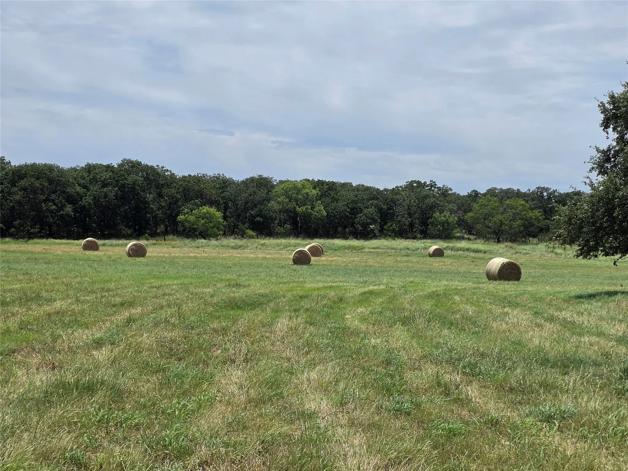 Ranch For Sale in Brown County , 2251 Fm 585, Bangs, Texas 76823, 0, 0, Garage spaces, 0 Sqft, built in 0, Price $1,769,875, mls#21322475, Real Estate Agent in Bangs, Homes For Sale in Brown county, Homes For Sale in Bangs, Realtor in Bangs Texas, Real Estate Brokerage Independent Realty Texas, Luminita Cordes Realtor