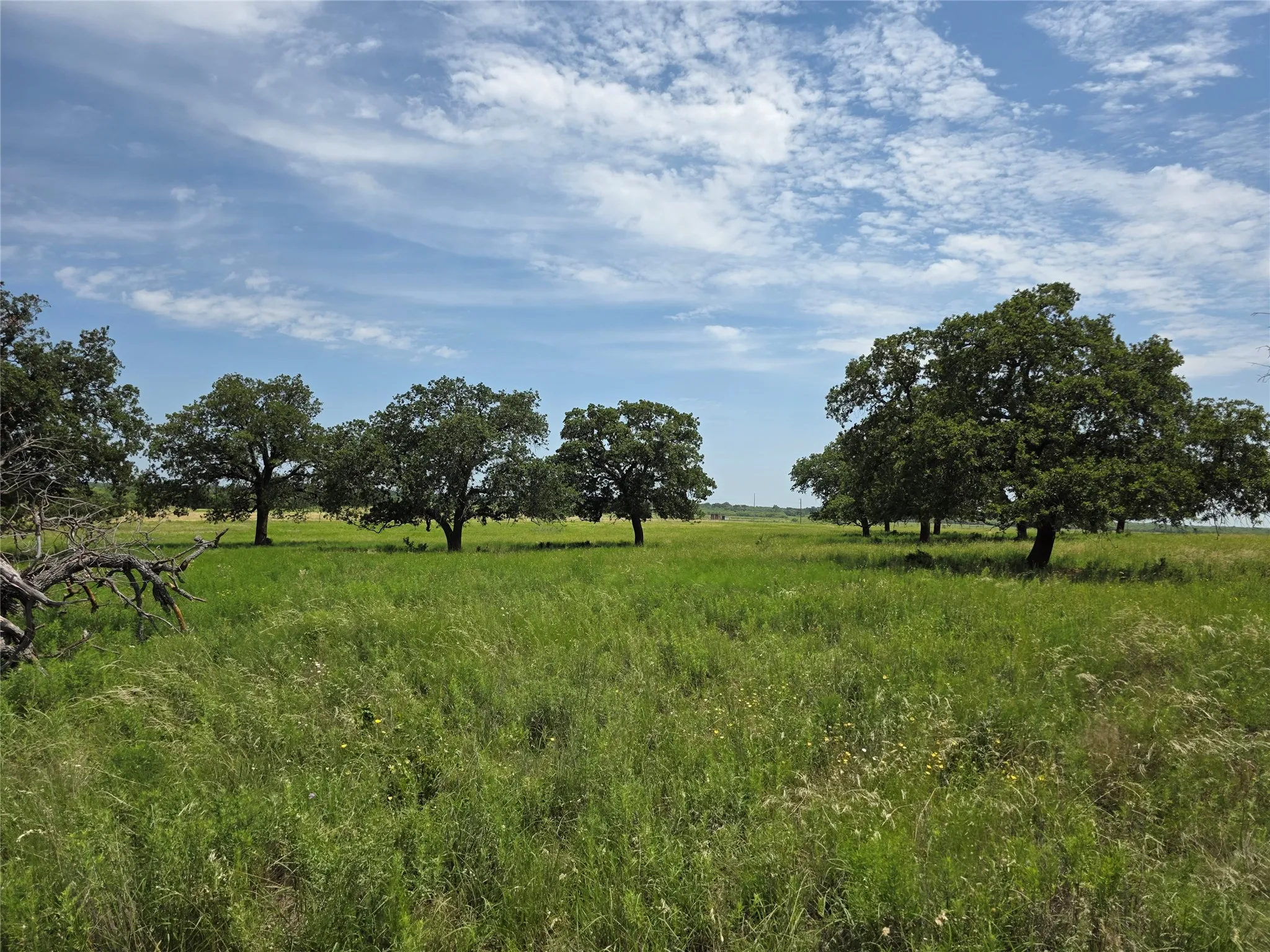 Ranch For Sale in Brown County , 2251 Fm 585, Bangs, Texas 76823, 0, 0, Garage spaces, 0 Sqft, built in 0, Price $1,769,875, mls#21322475, Real Estate Agent in Bangs, Homes For Sale in Brown county, Homes For Sale in Bangs, Realtor in Bangs Texas, Real Estate Brokerage Independent Realty Texas, Luminita Cordes Realtor