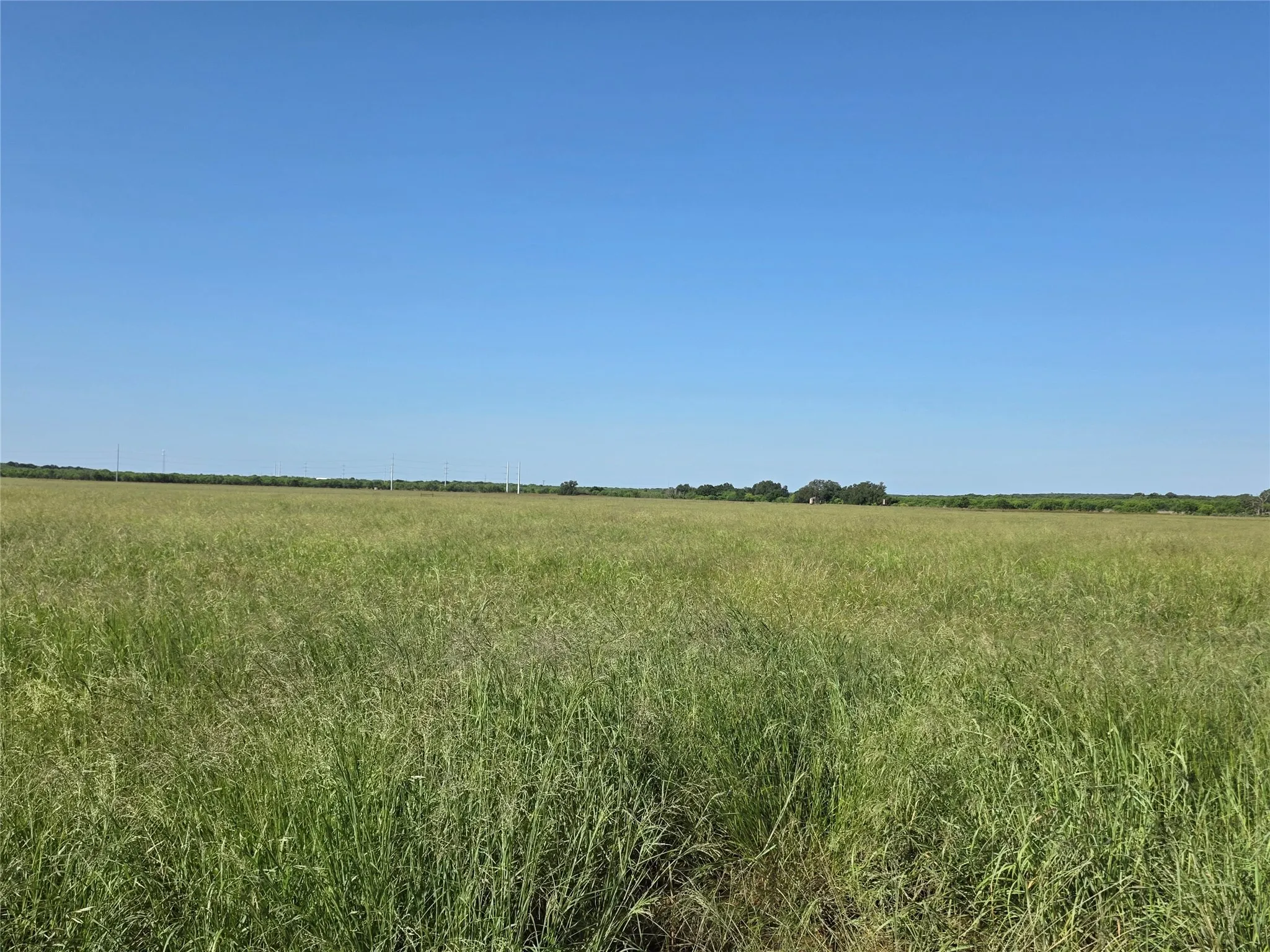 Ranch For Sale in Brown County , 2251 Fm 585, Bangs, Texas 76823, 0, 0, Garage spaces, 0 Sqft, built in 0, Price $1,769,875, mls#21322475, Real Estate Agent in Bangs, Homes For Sale in Brown county, Homes For Sale in Bangs, Realtor in Bangs Texas, Real Estate Brokerage Independent Realty Texas, Luminita Cordes Realtor