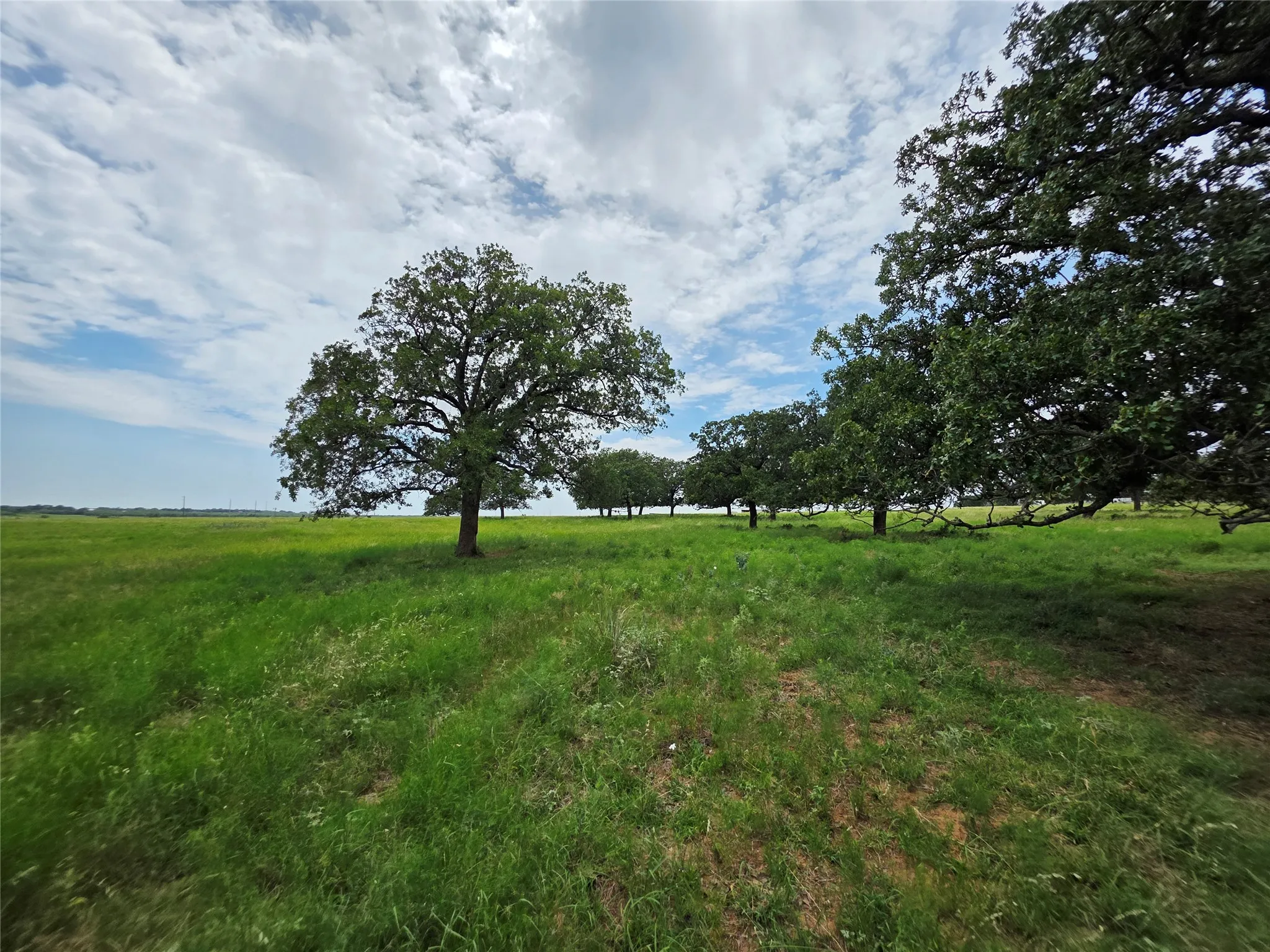 Ranch For Sale in Brown County , 2251 Fm 585, Bangs, Texas 76823, 0, 0, Garage spaces, 0 Sqft, built in 0, Price $1,769,875, mls#21322475, Real Estate Agent in Bangs, Homes For Sale in Brown county, Homes For Sale in Bangs, Realtor in Bangs Texas, Real Estate Brokerage Independent Realty Texas, Luminita Cordes Realtor