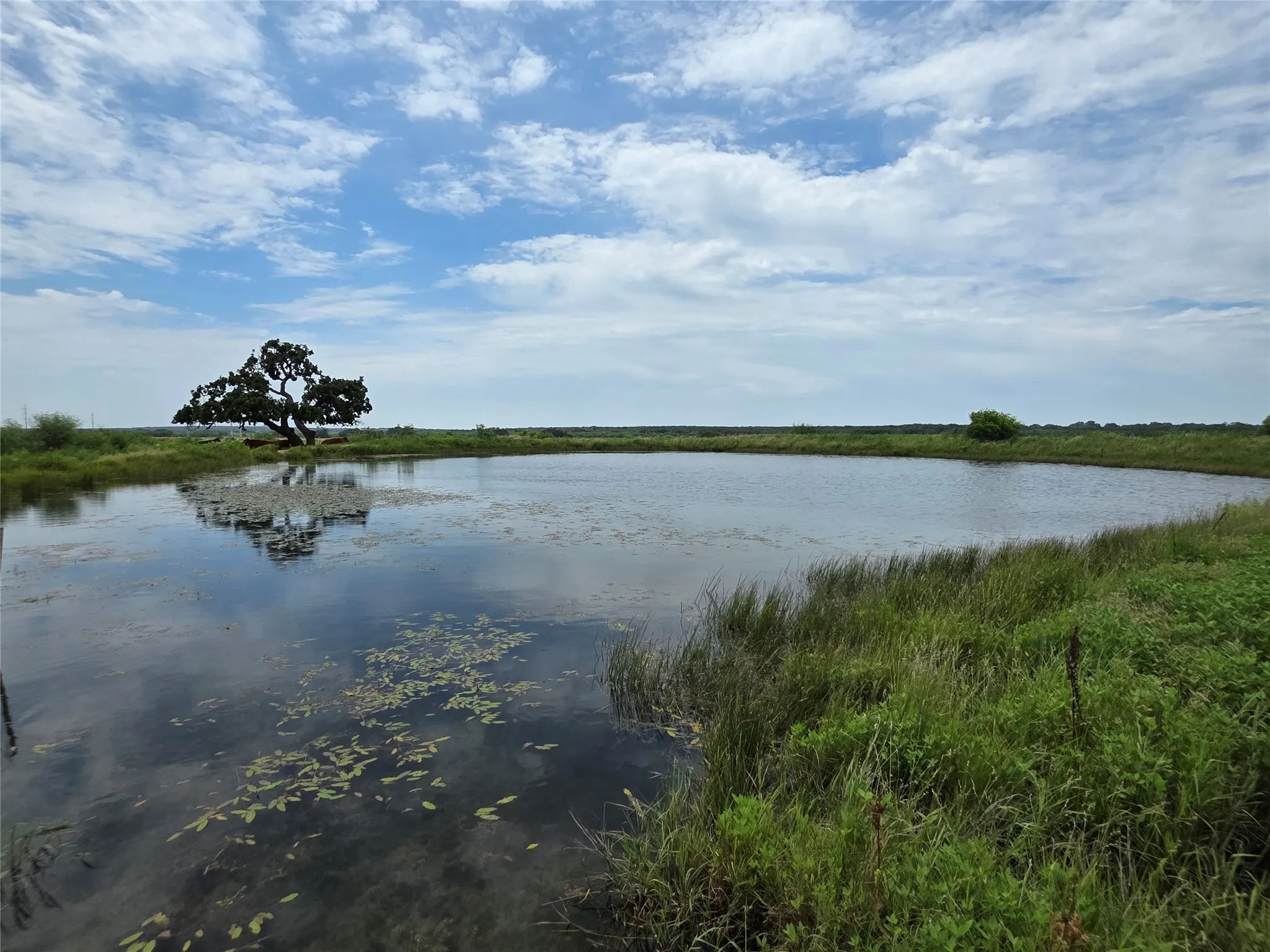 Ranch For Sale in Brown County , 2251 Fm 585, Bangs, Texas 76823, 0, 0, Garage spaces, 0 Sqft, built in 0, Price $1,769,875, mls#21322475, Real Estate Agent in Bangs, Homes For Sale in Brown county, Homes For Sale in Bangs, Realtor in Bangs Texas, Real Estate Brokerage Independent Realty Texas, Luminita Cordes Realtor