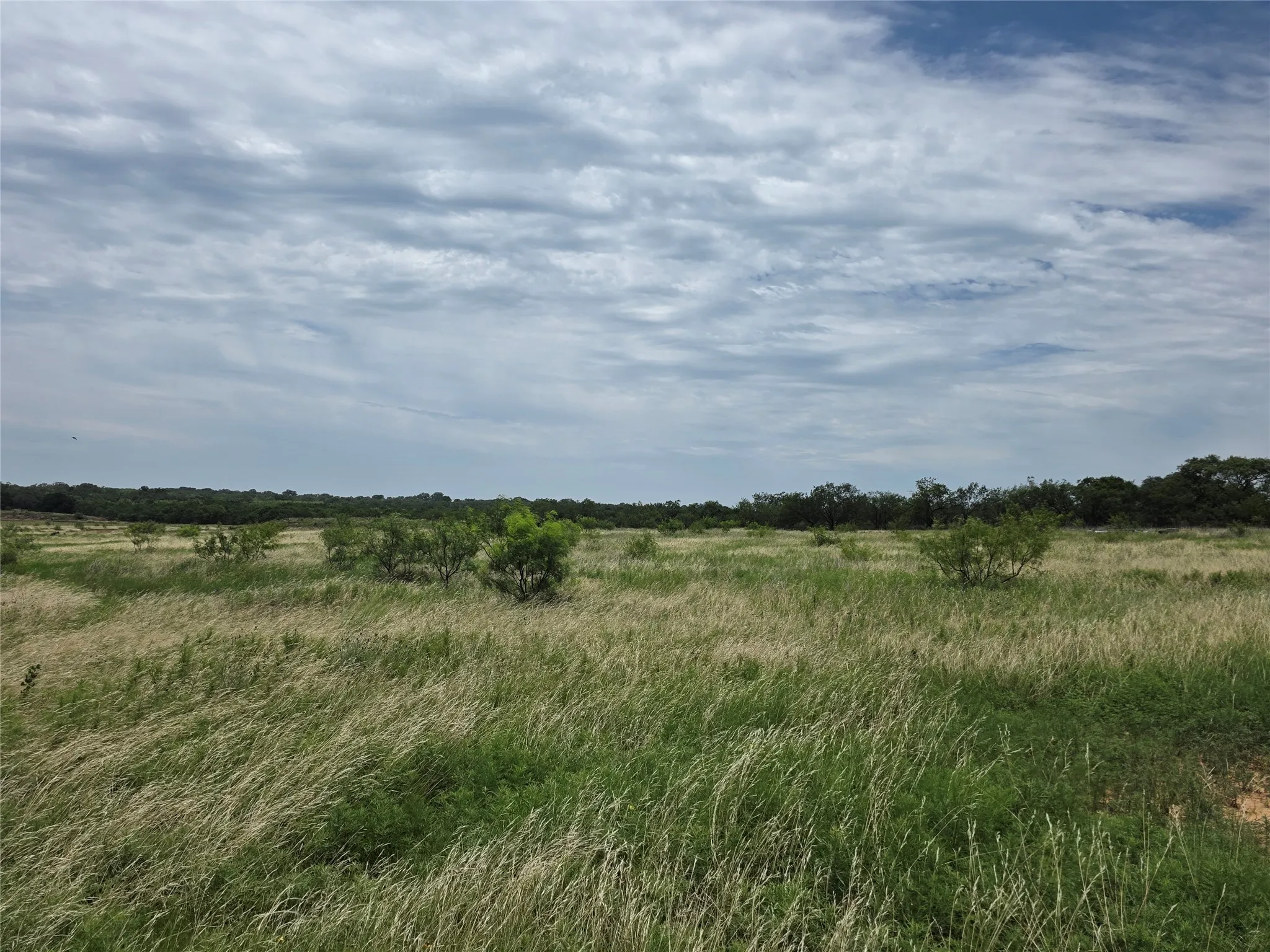 Ranch For Sale in Brown County , 2251 Fm 585, Bangs, Texas 76823, 0, 0, Garage spaces, 0 Sqft, built in 0, Price $1,769,875, mls#21322475, Real Estate Agent in Bangs, Homes For Sale in Brown county, Homes For Sale in Bangs, Realtor in Bangs Texas, Real Estate Brokerage Independent Realty Texas, Luminita Cordes Realtor