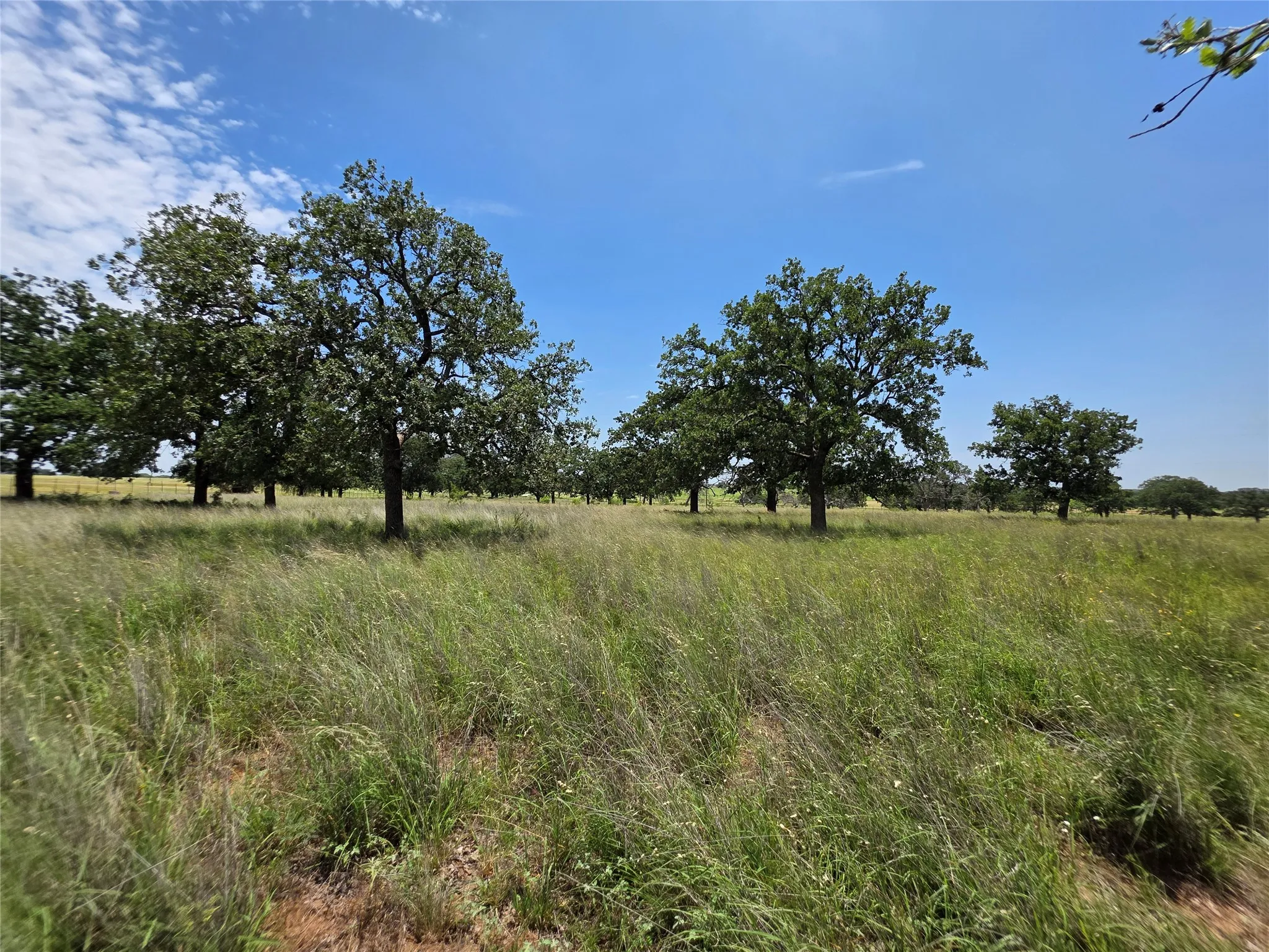 Ranch For Sale in Brown County , 2251 Fm 585, Bangs, Texas 76823, 0, 0, Garage spaces, 0 Sqft, built in 0, Price $1,769,875, mls#21322475, Real Estate Agent in Bangs, Homes For Sale in Brown county, Homes For Sale in Bangs, Realtor in Bangs Texas, Real Estate Brokerage Independent Realty Texas, Luminita Cordes Realtor