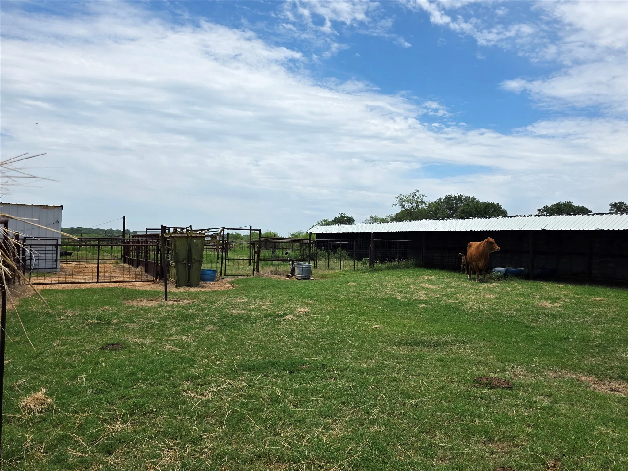 Ranch For Sale in Brown County , 2251 Fm 585, Bangs, Texas 76823, 0, 0, Garage spaces, 0 Sqft, built in 0, Price $1,769,875, mls#21322475, Real Estate Agent in Bangs, Homes For Sale in Brown county, Homes For Sale in Bangs, Realtor in Bangs Texas, Real Estate Brokerage Independent Realty Texas, Luminita Cordes Realtor